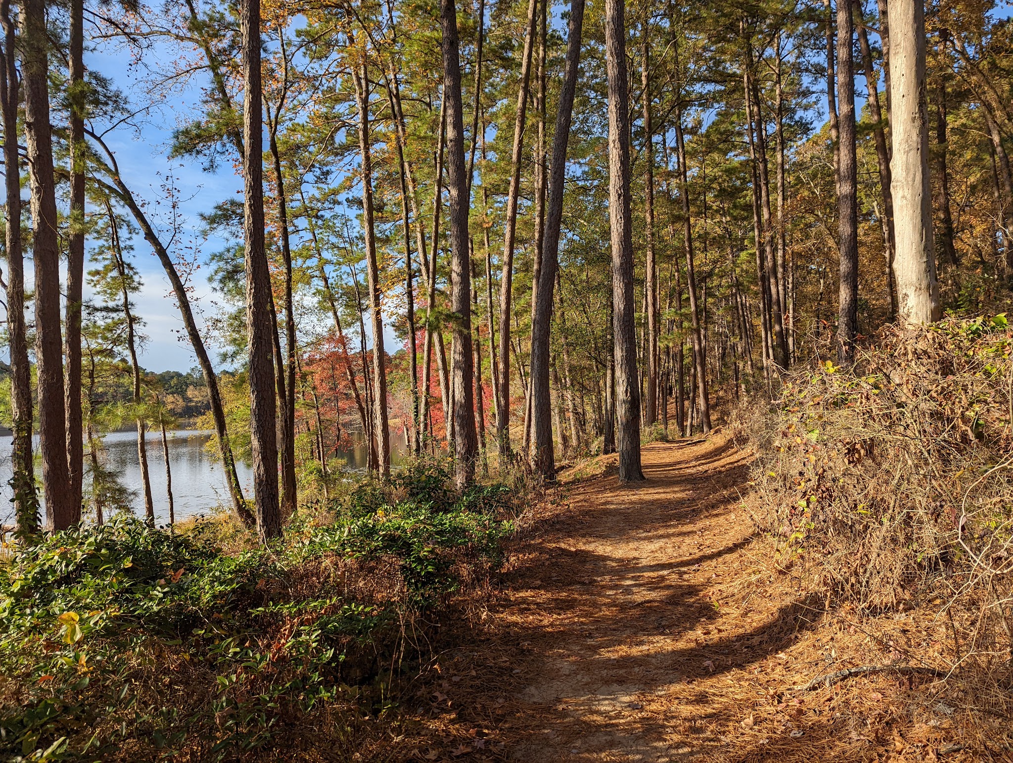 Daingerfield State Park