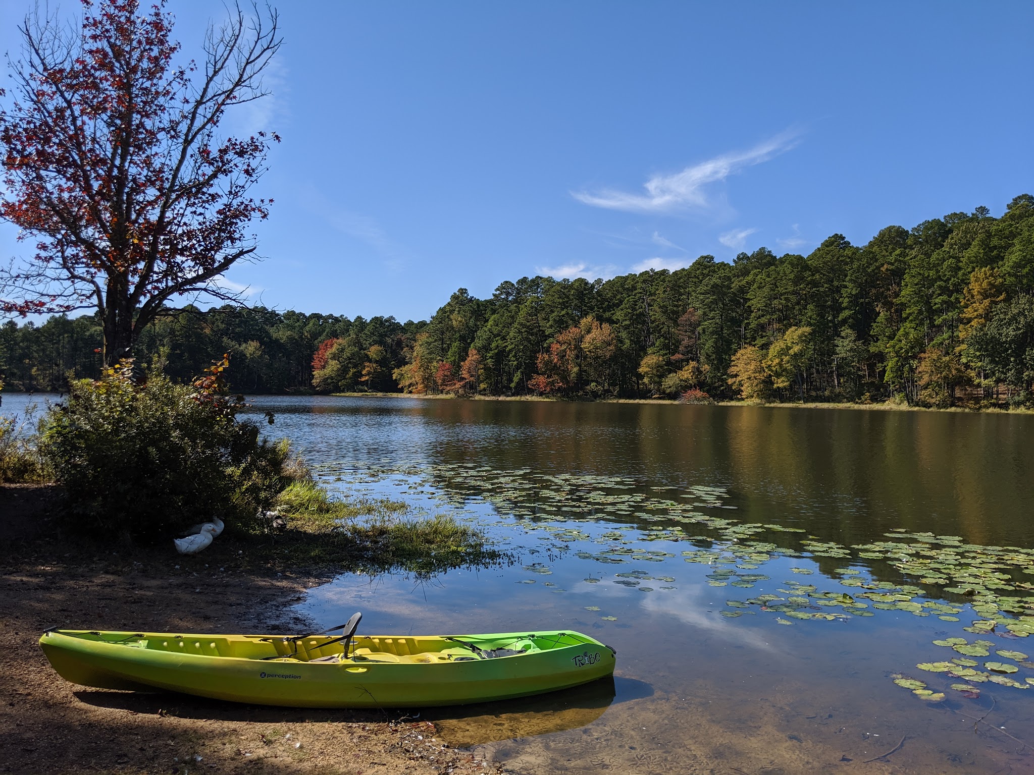 Daingerfield State Park