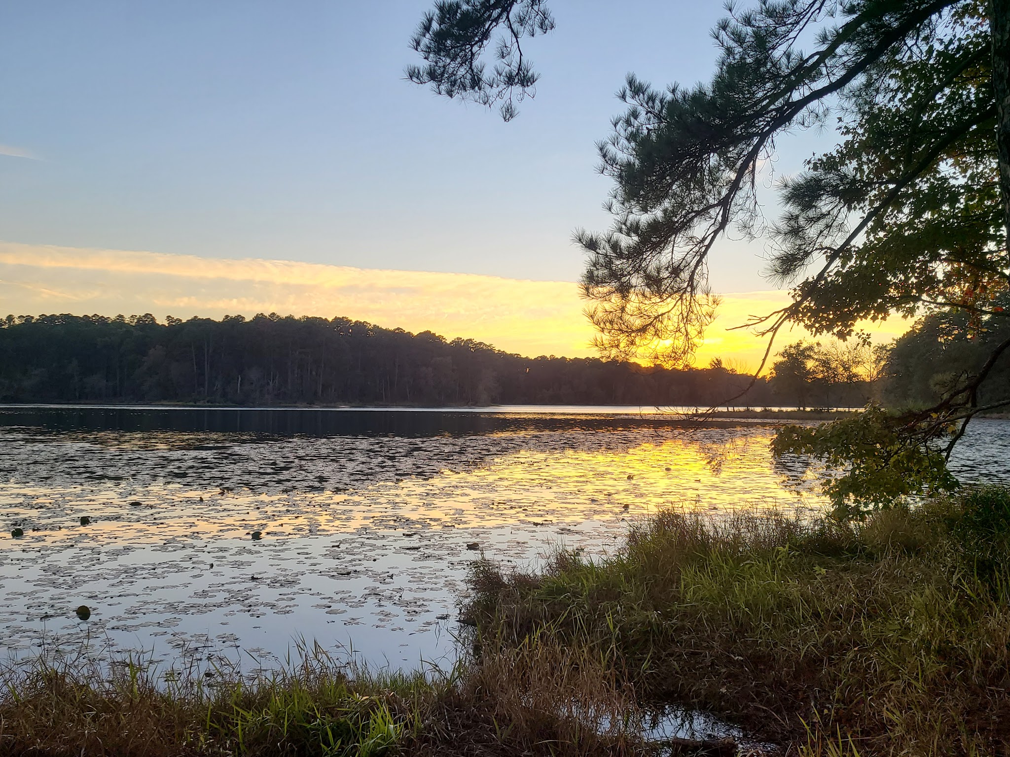 Daingerfield State Park