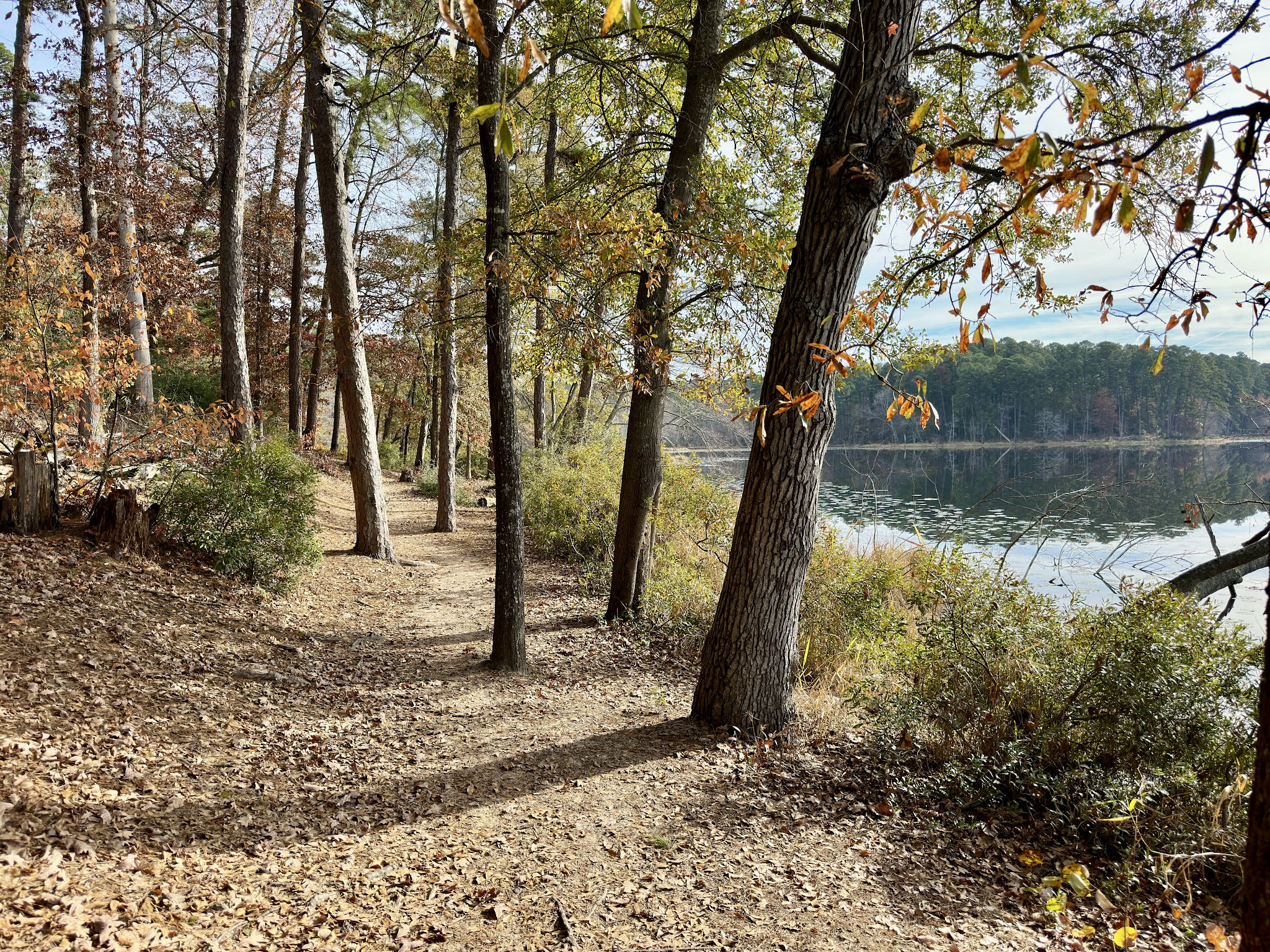 Daingerfield State Park