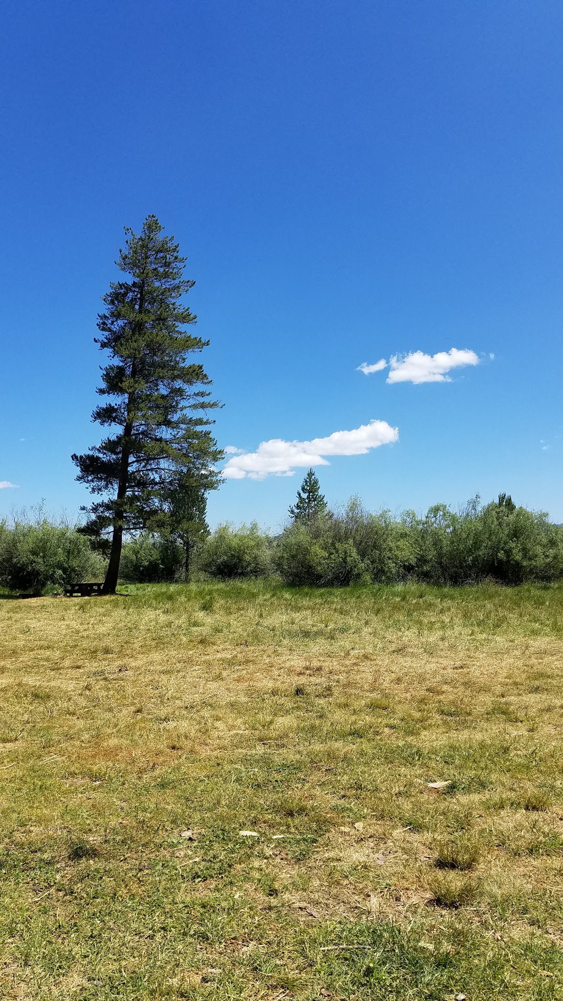 Dairy Point Campground