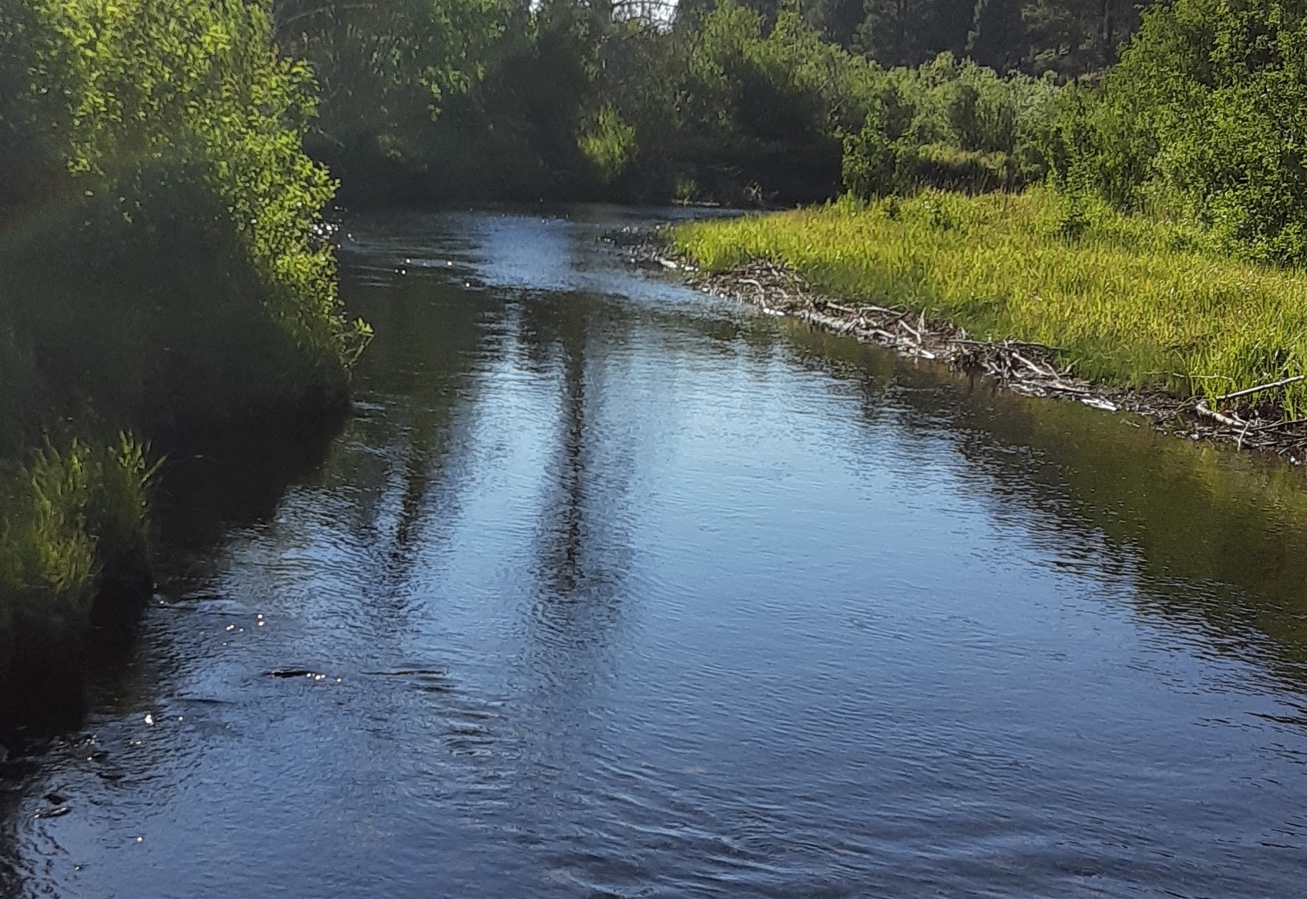 Dairy Point Campground