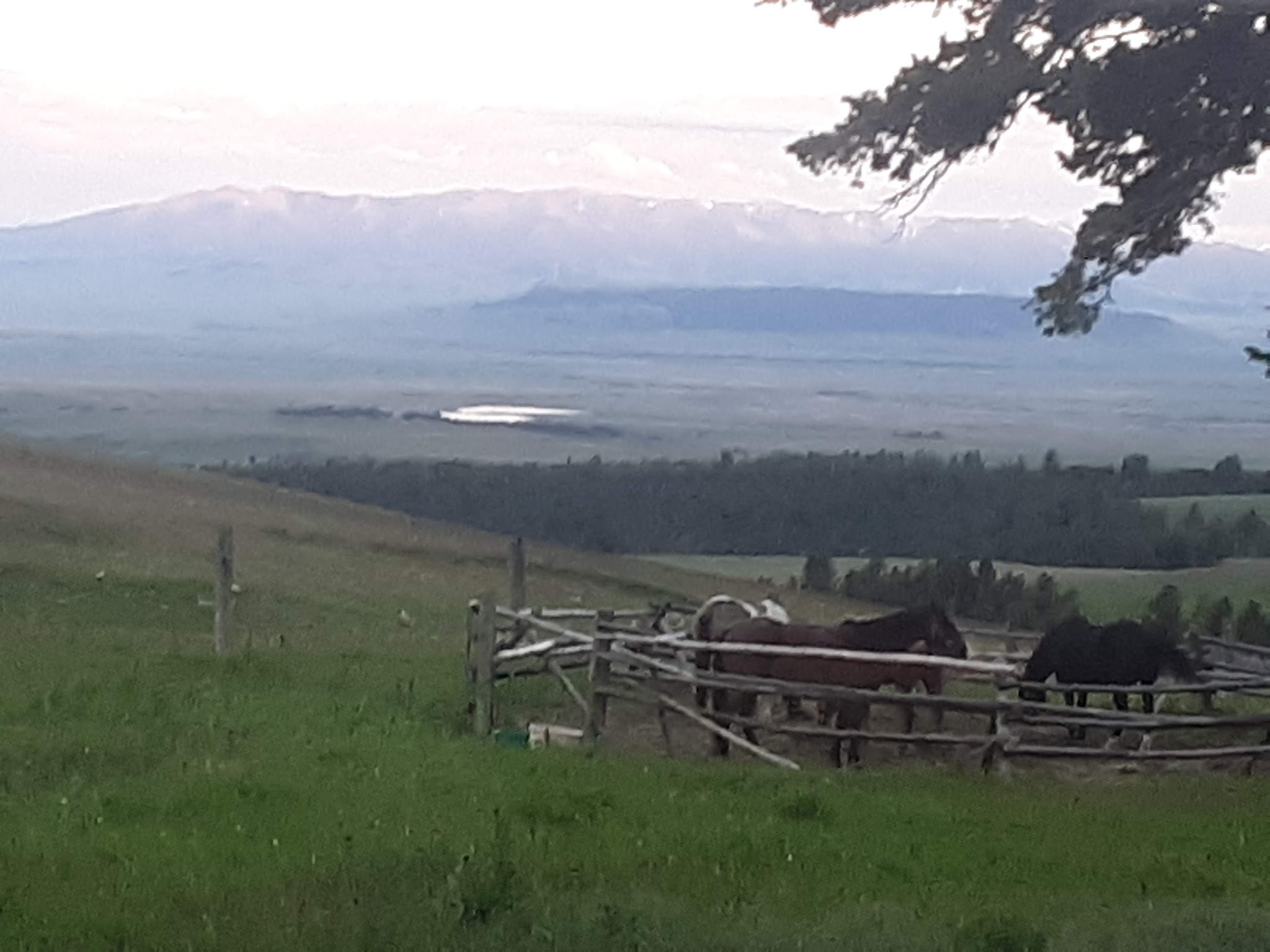 Daisy Dean Camp Campground