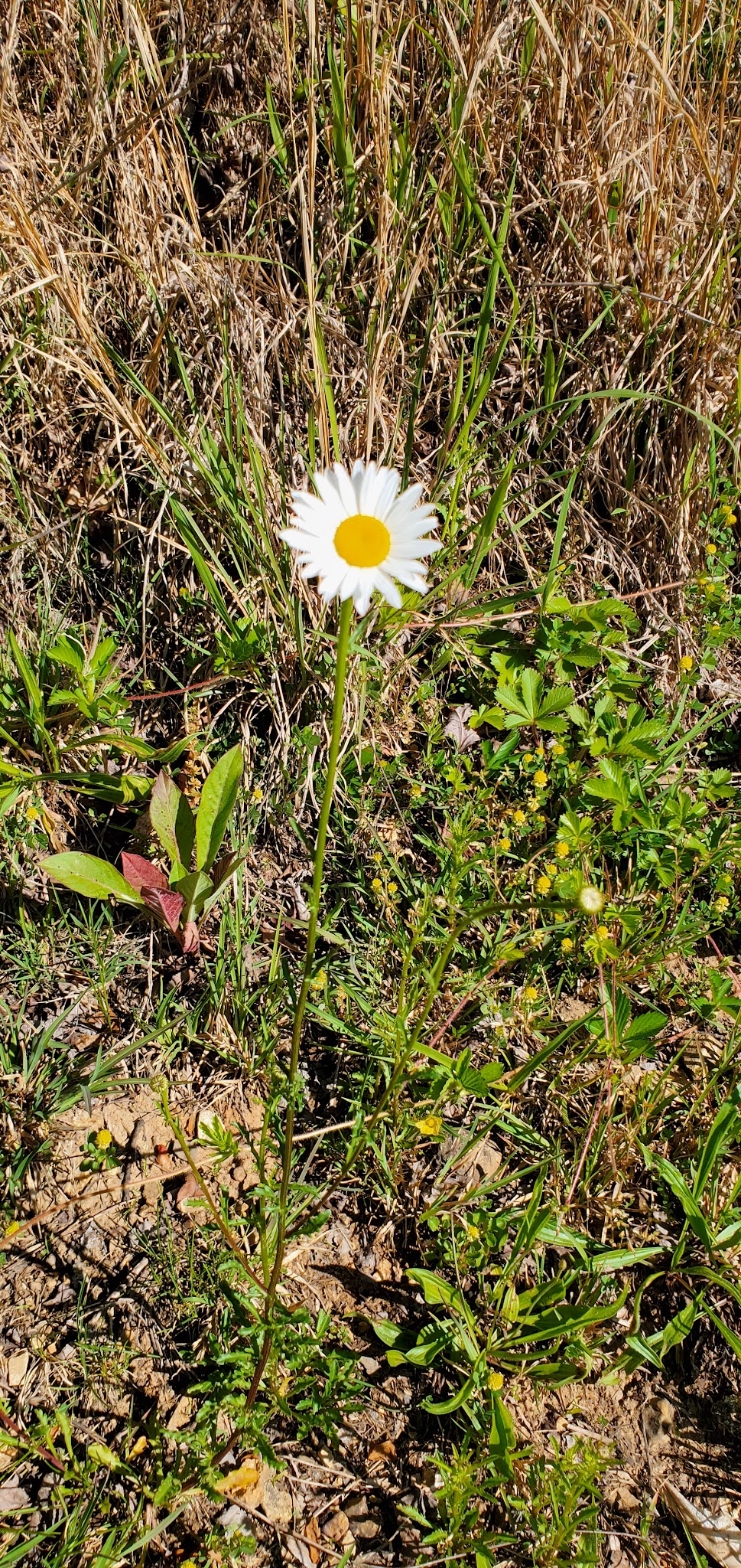 Lovers Leap Campground