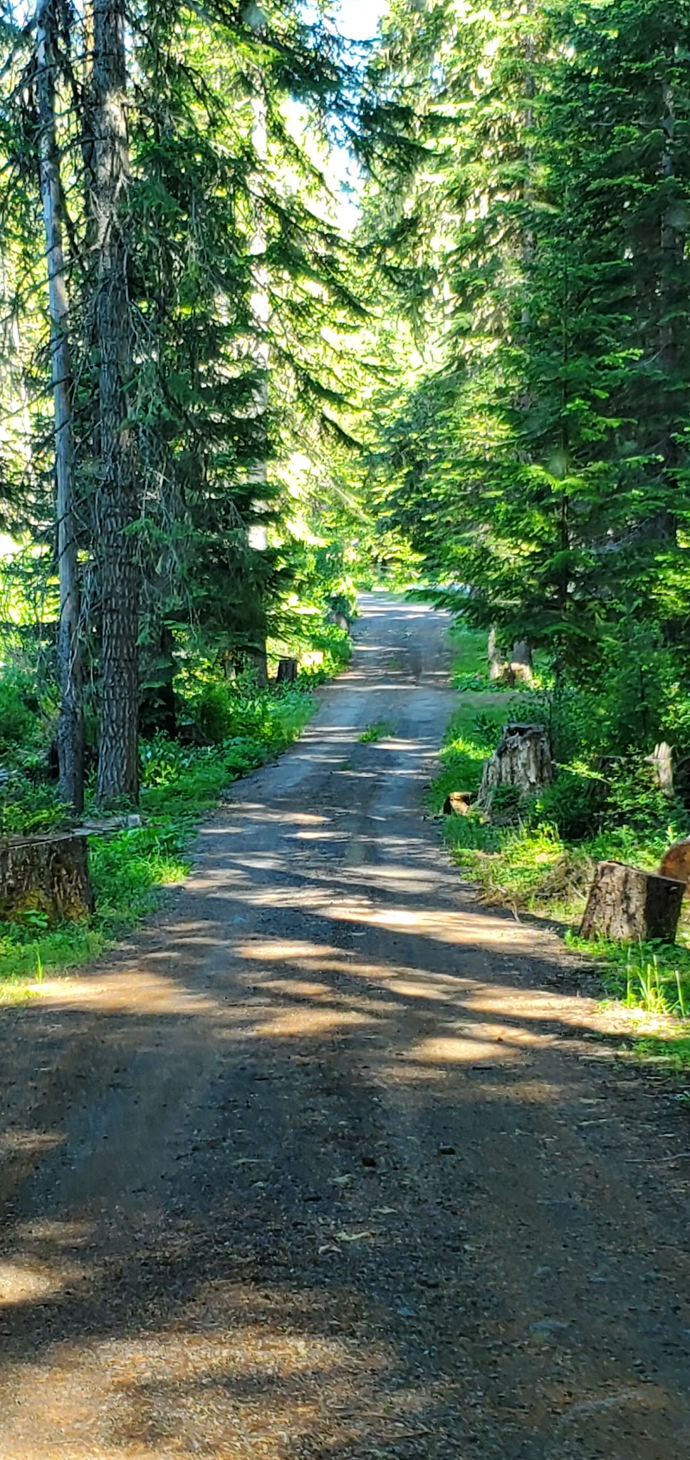 Daley Creek Campground