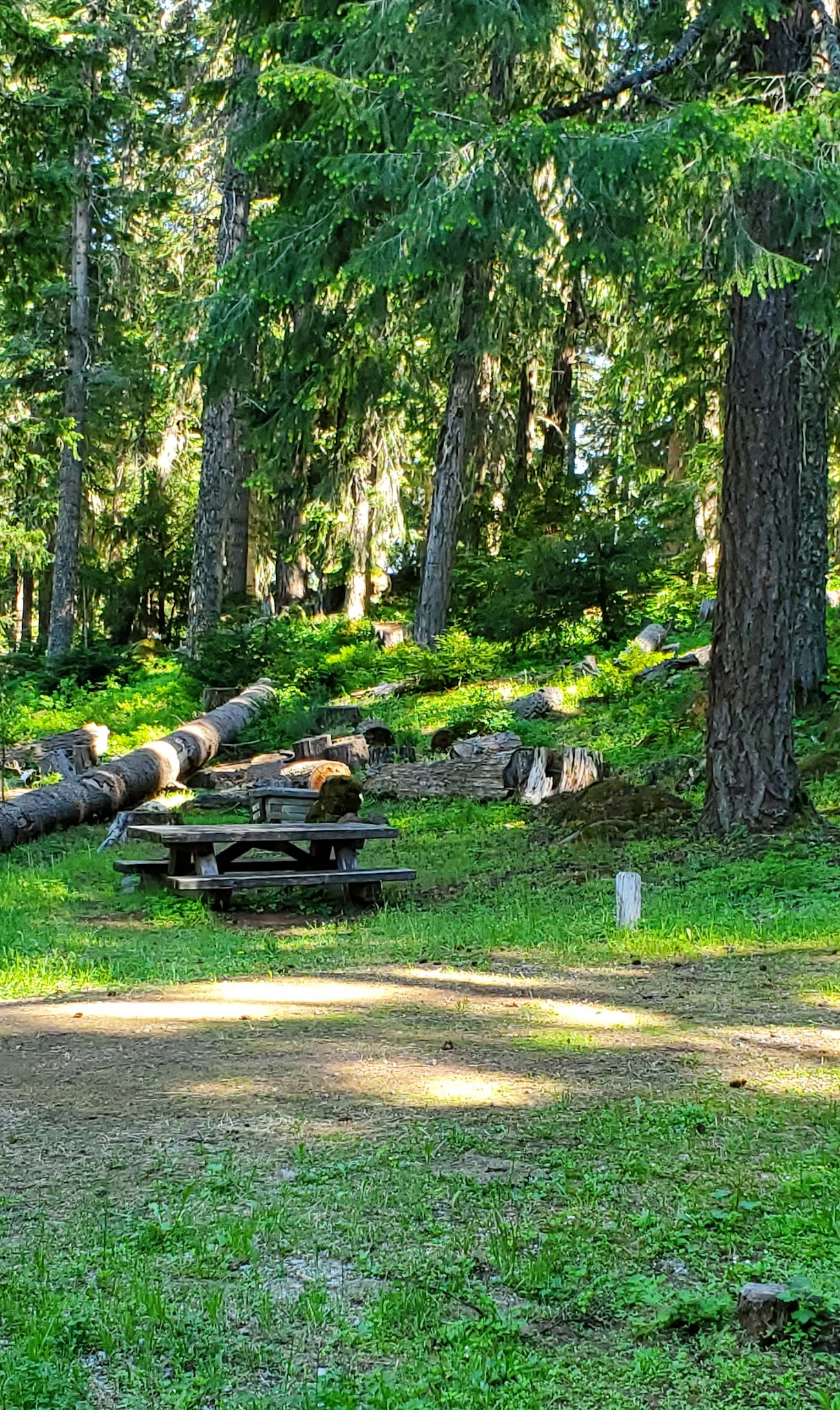 Daley Creek Campground