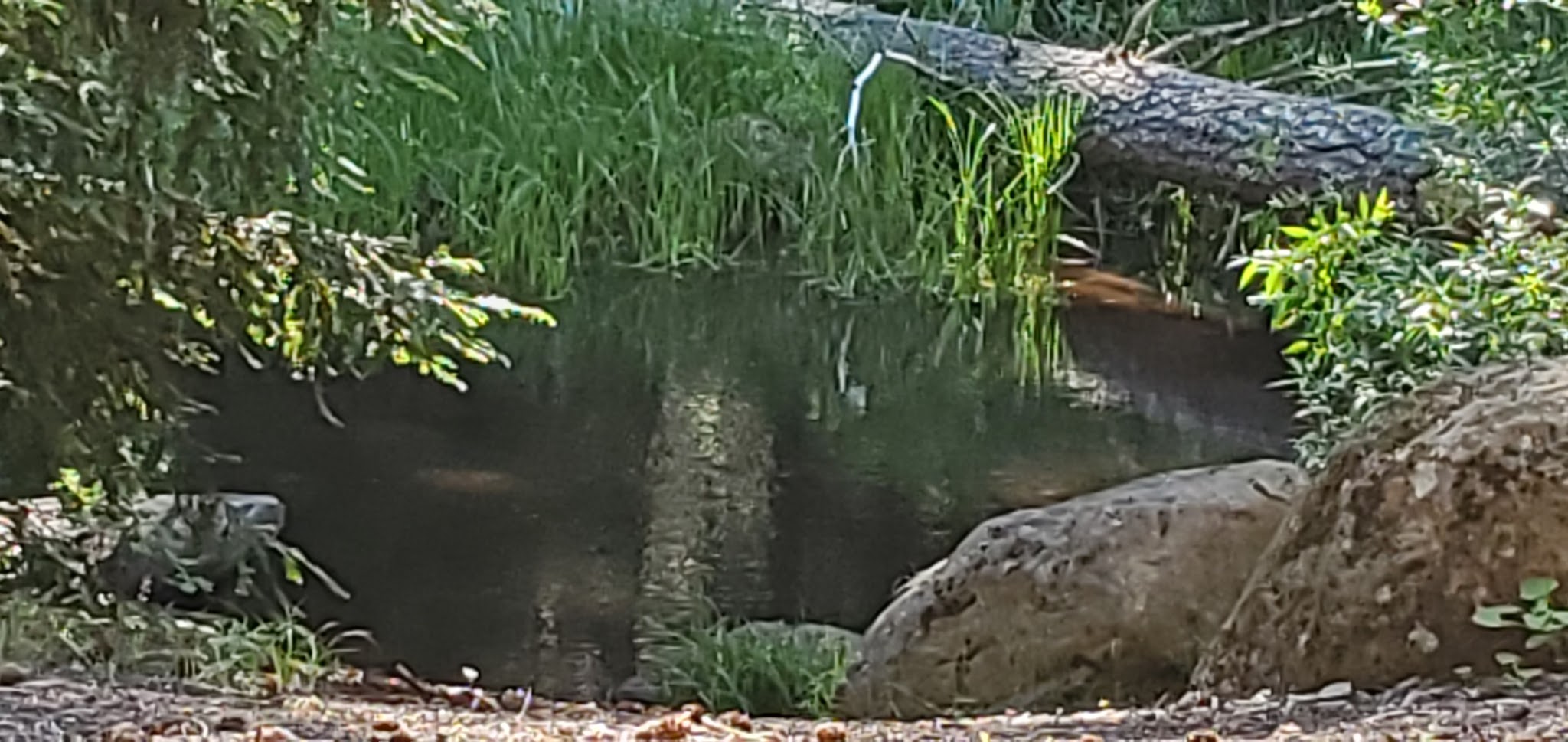 Daley Creek Campground