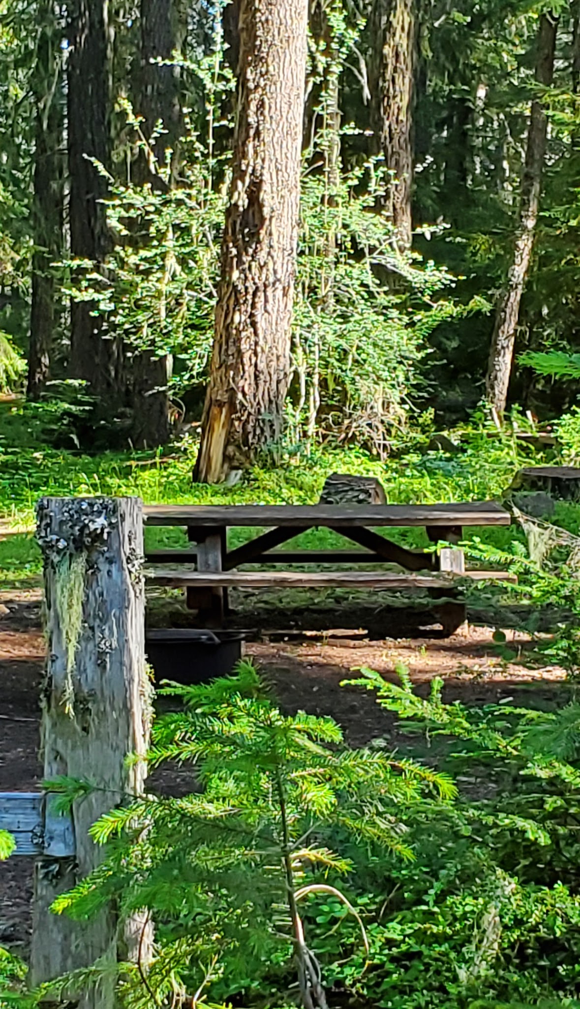 Daley Creek Campground