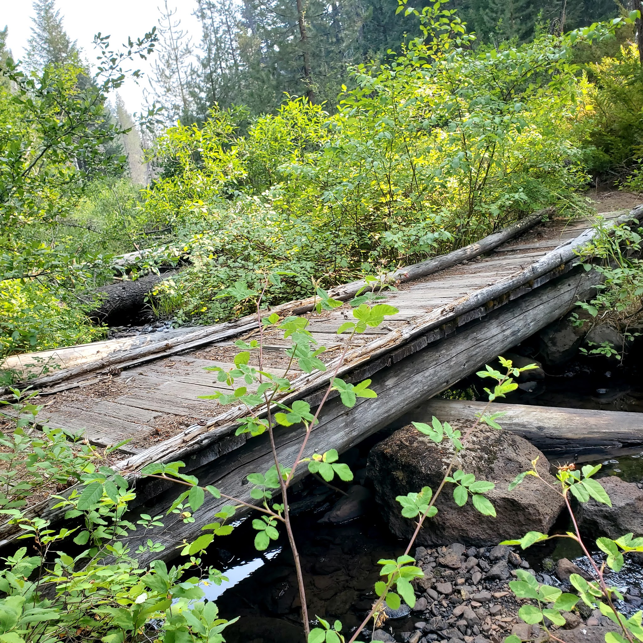 Daley Creek Campground
