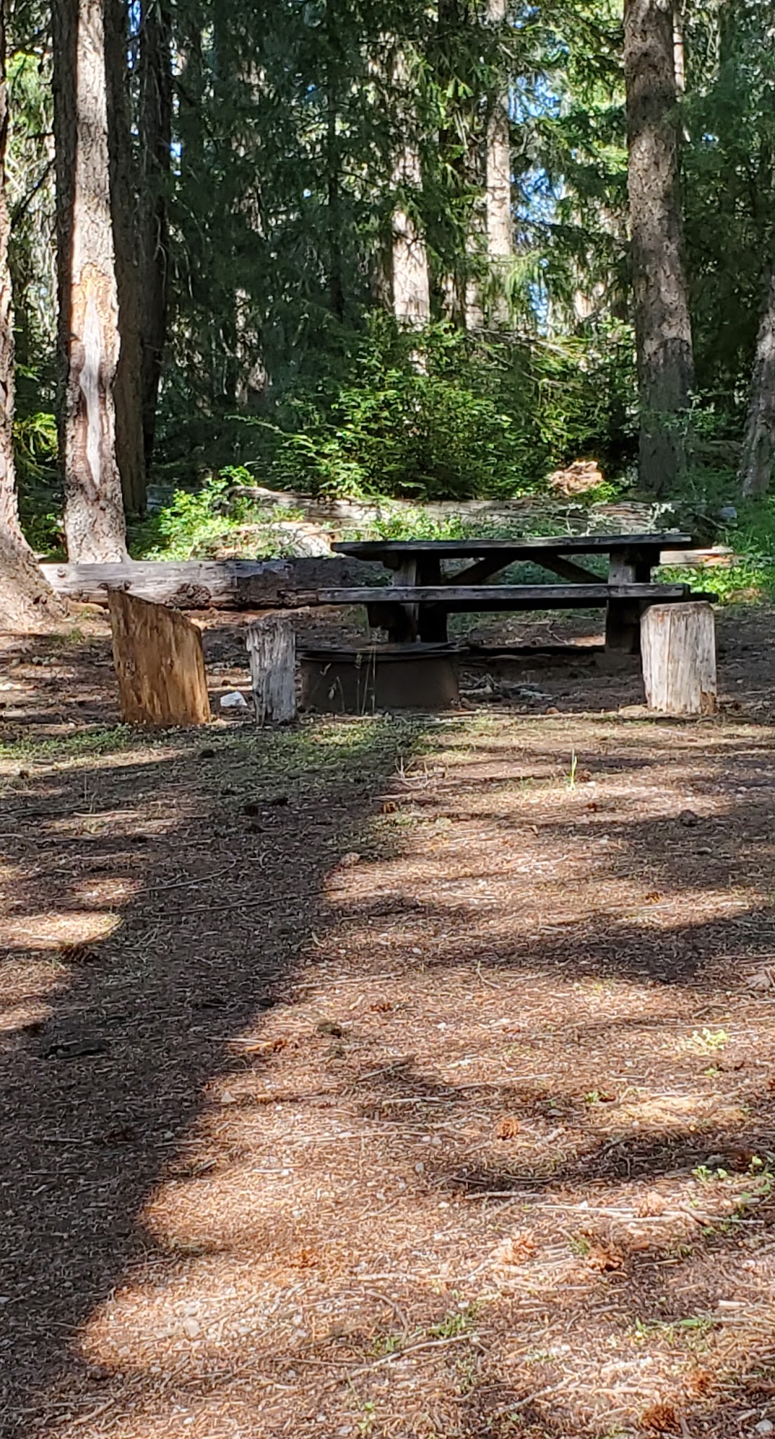 Daley Creek Campground