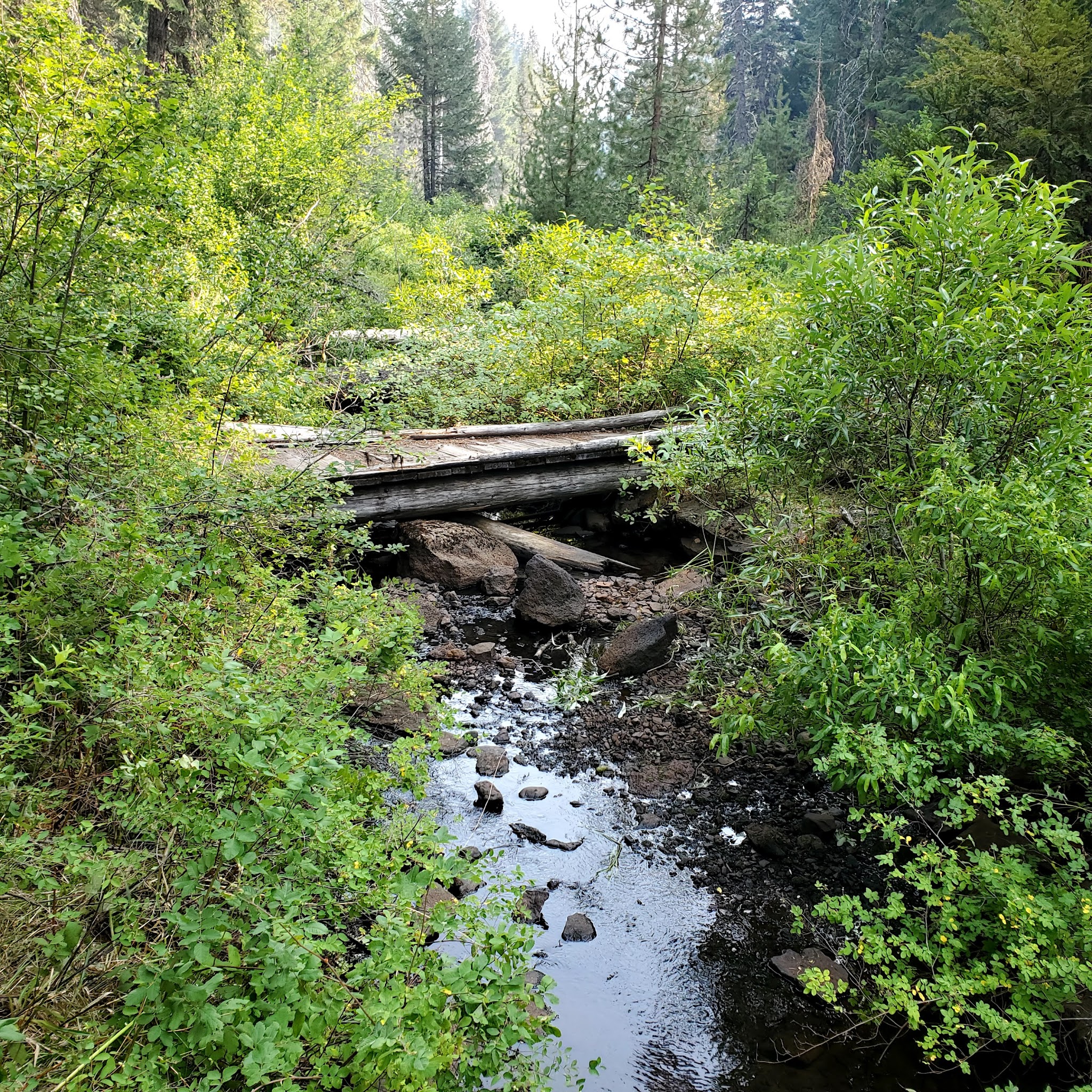 Daley Creek Campground