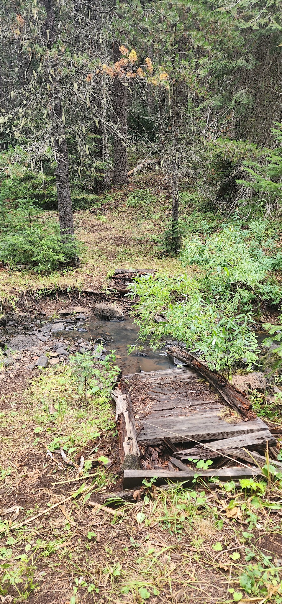 Daley Creek Campground