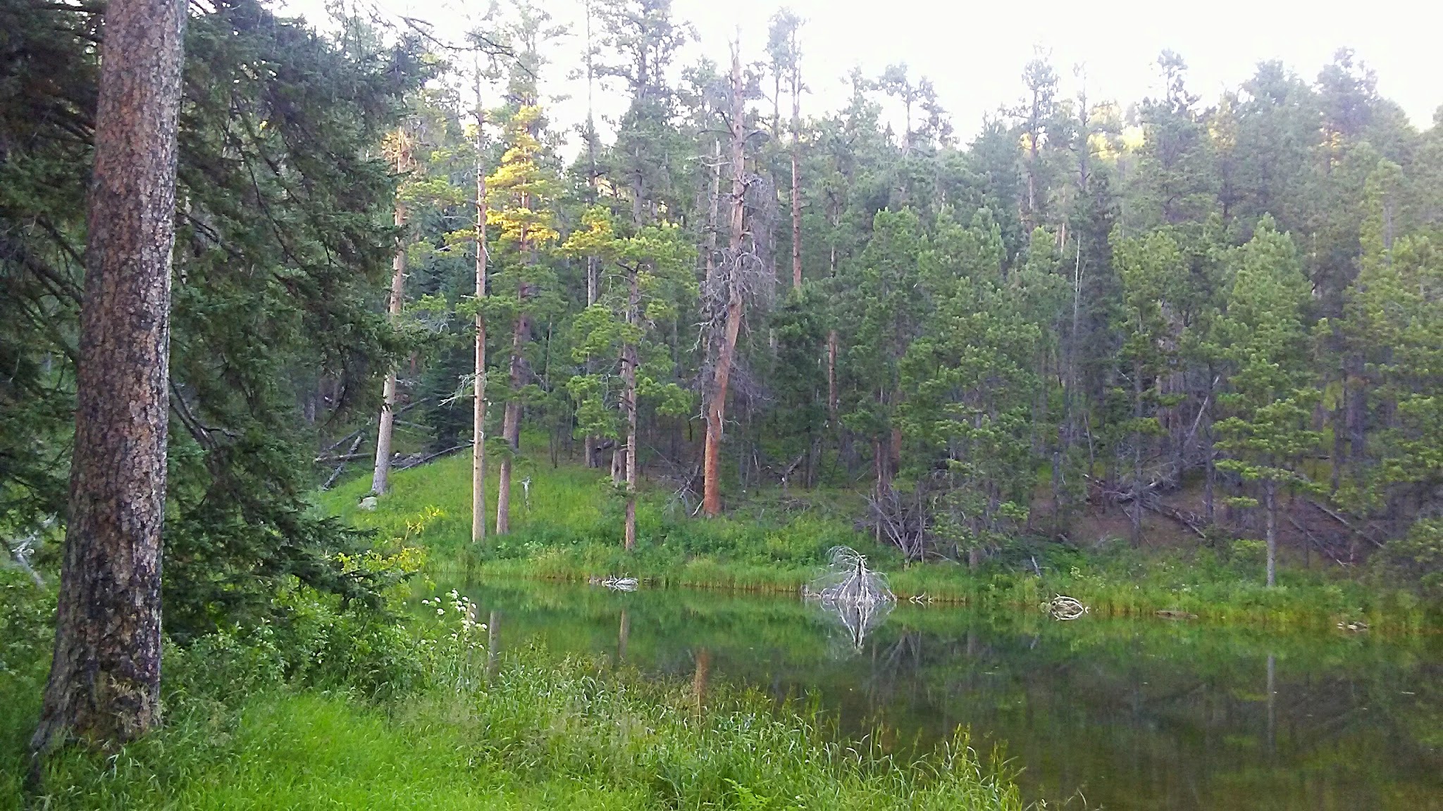 Dalton Lake Campground