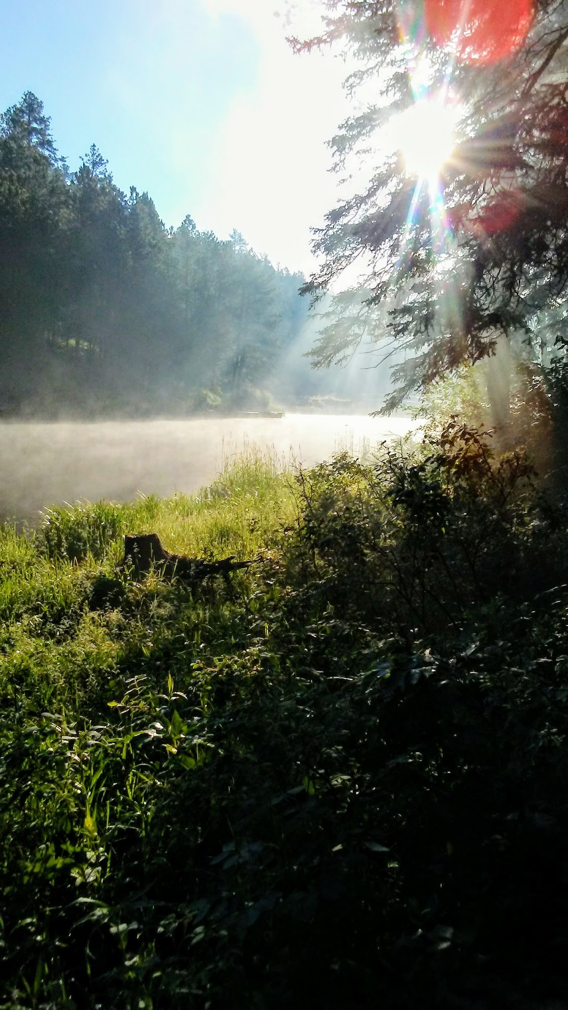 Dalton Lake Campground