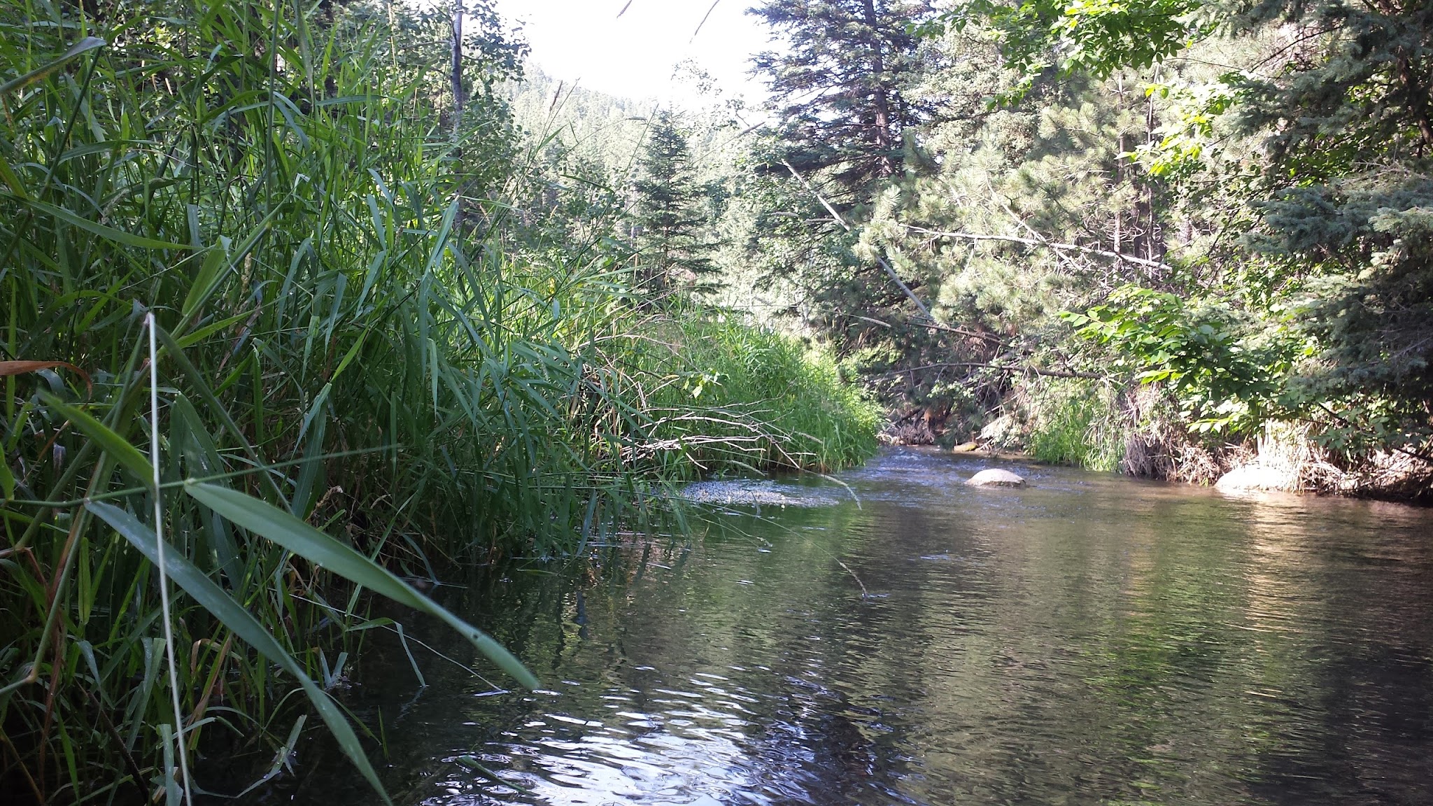 Dalton Lake Campground