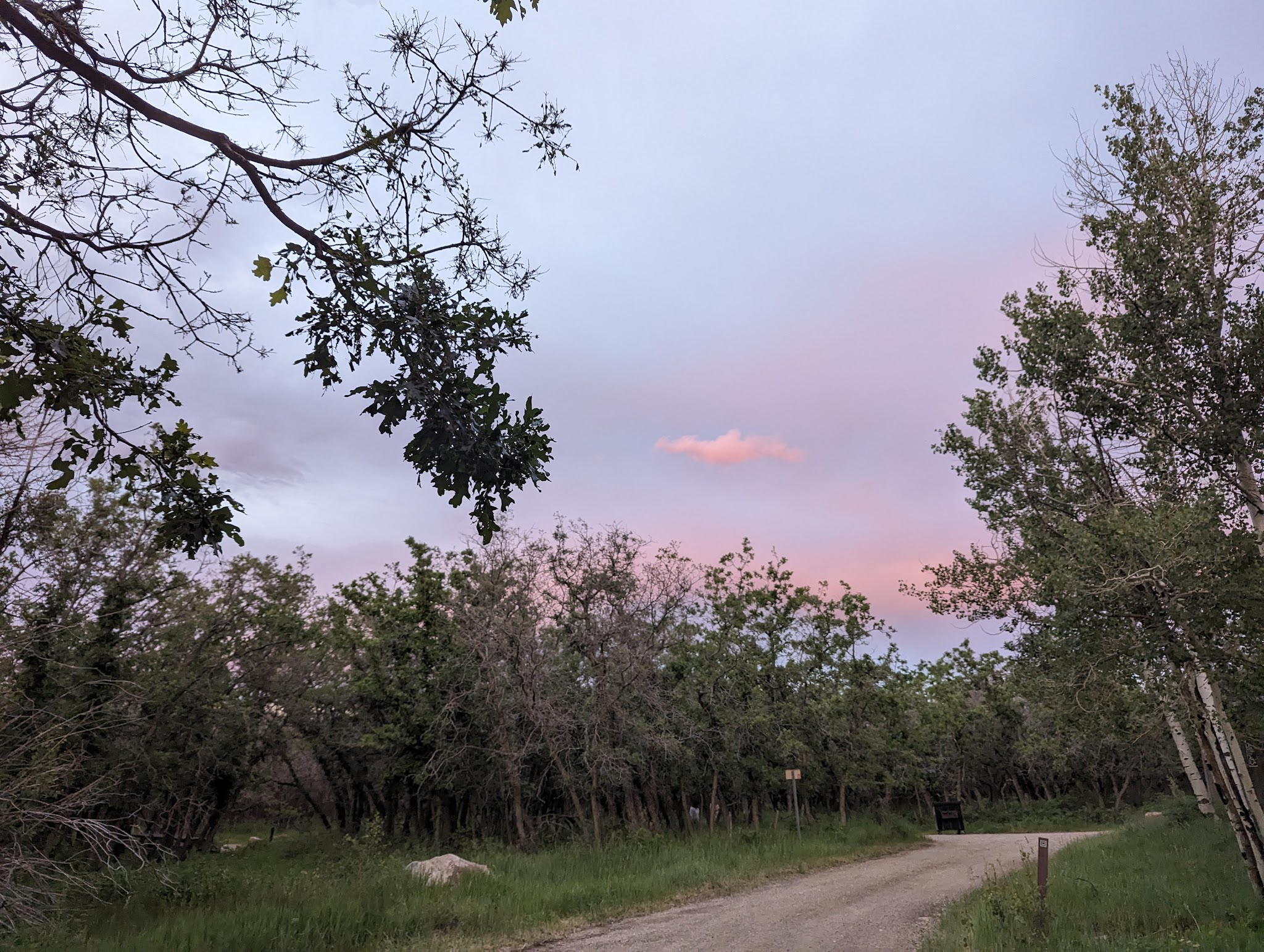 Dalton Springs Campground