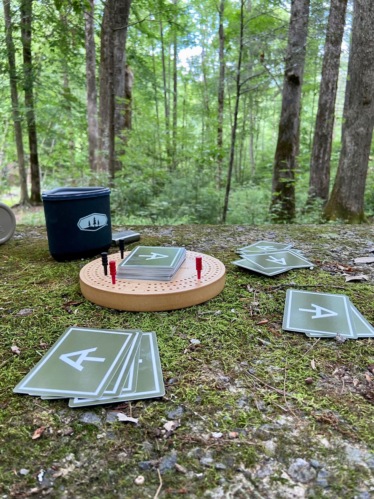 Dam Creek Walk-In Campground And Picnic Area