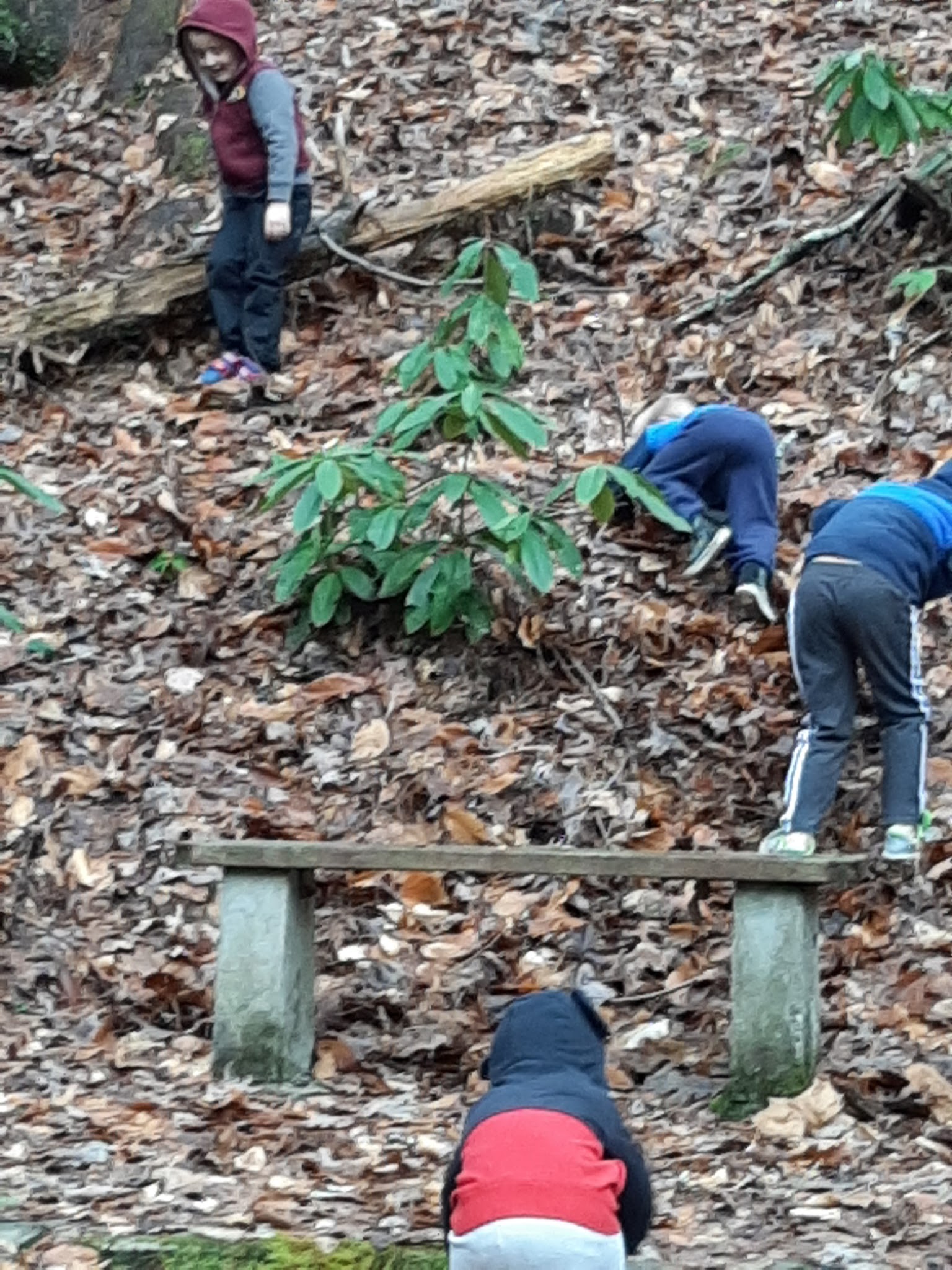Dam Creek Walk-In Campground And Picnic Area