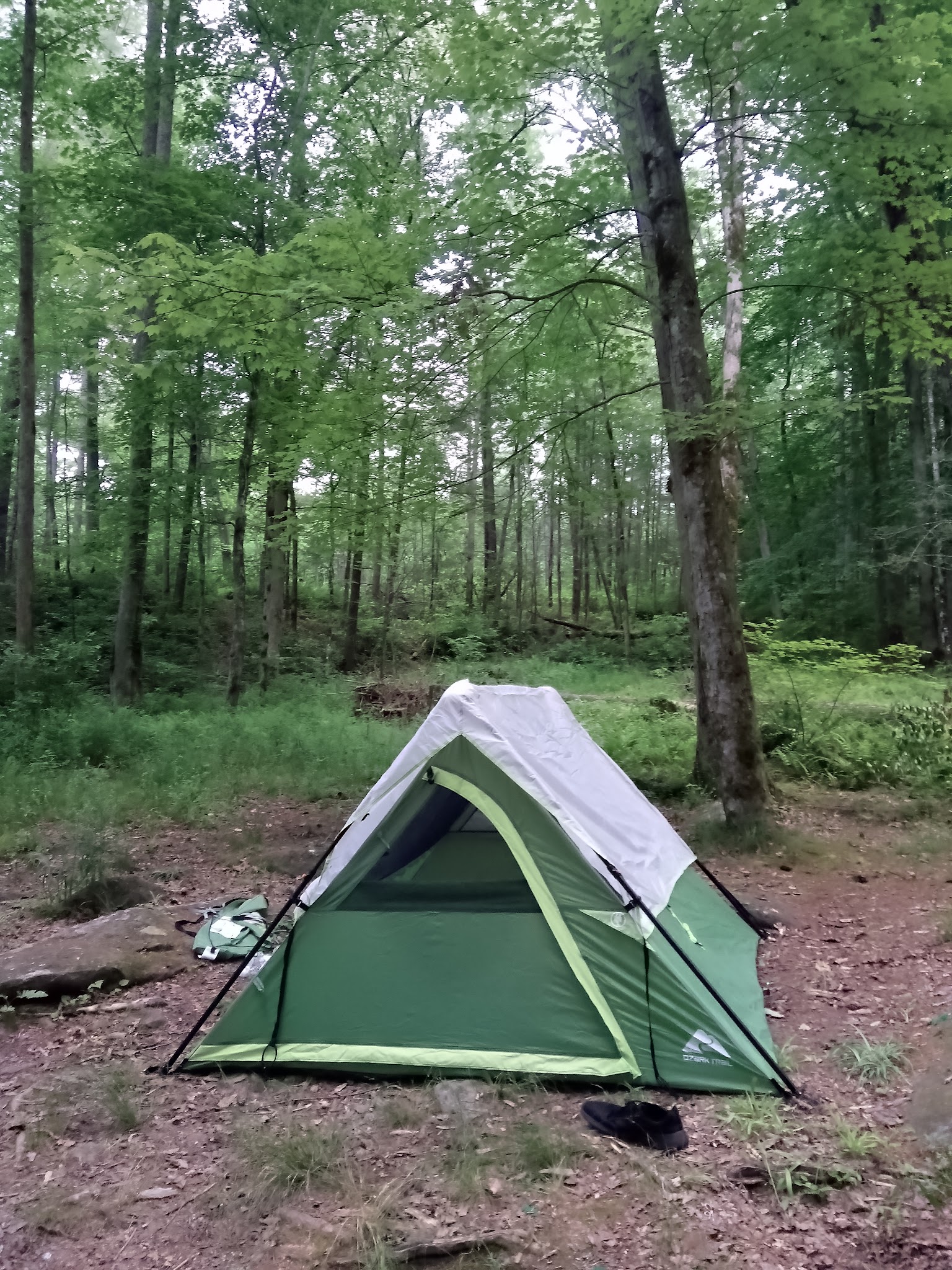 Dam Creek Walk-In Campground And Picnic Area