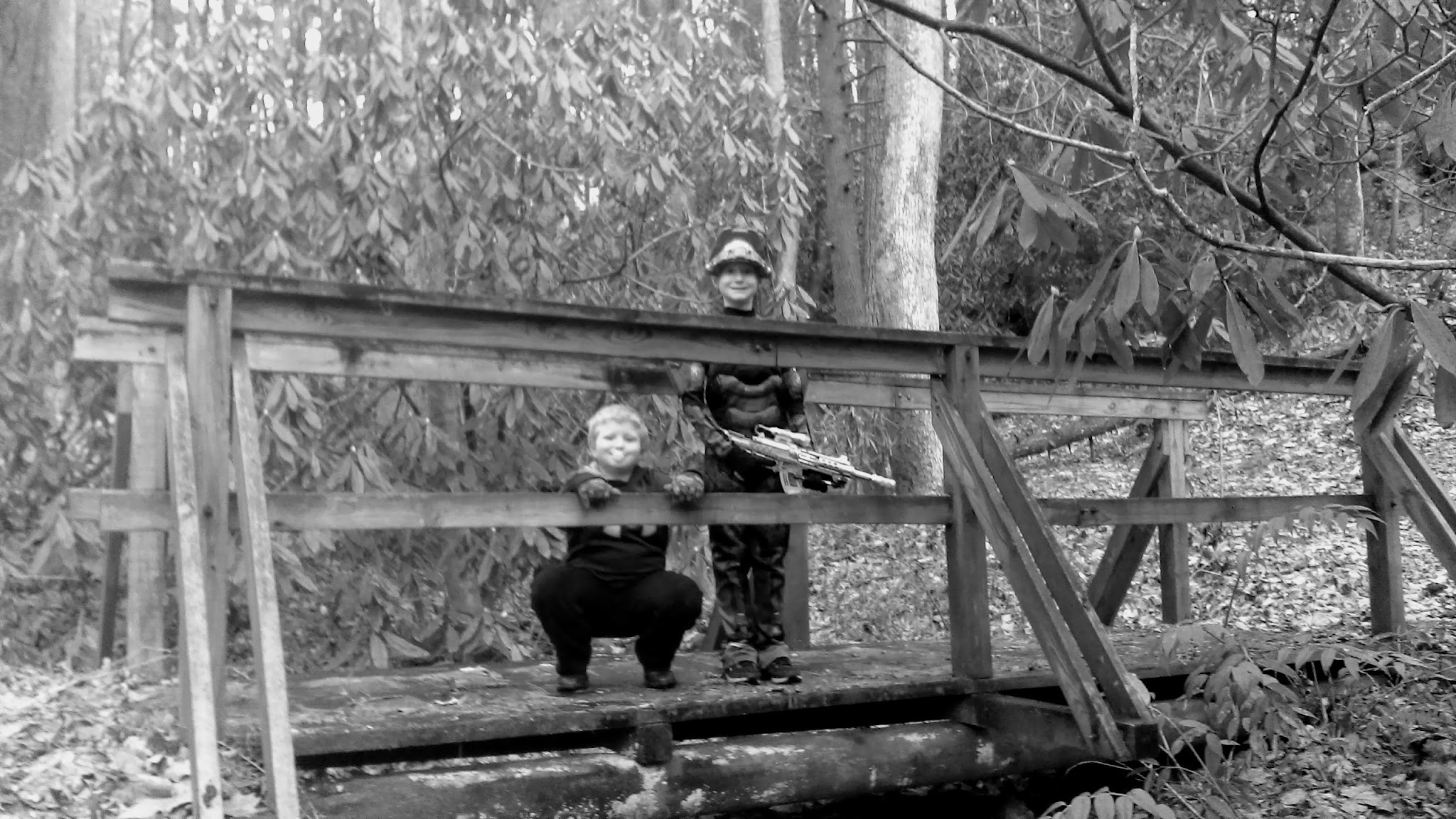 Dam Creek Walk-In Campground And Picnic Area