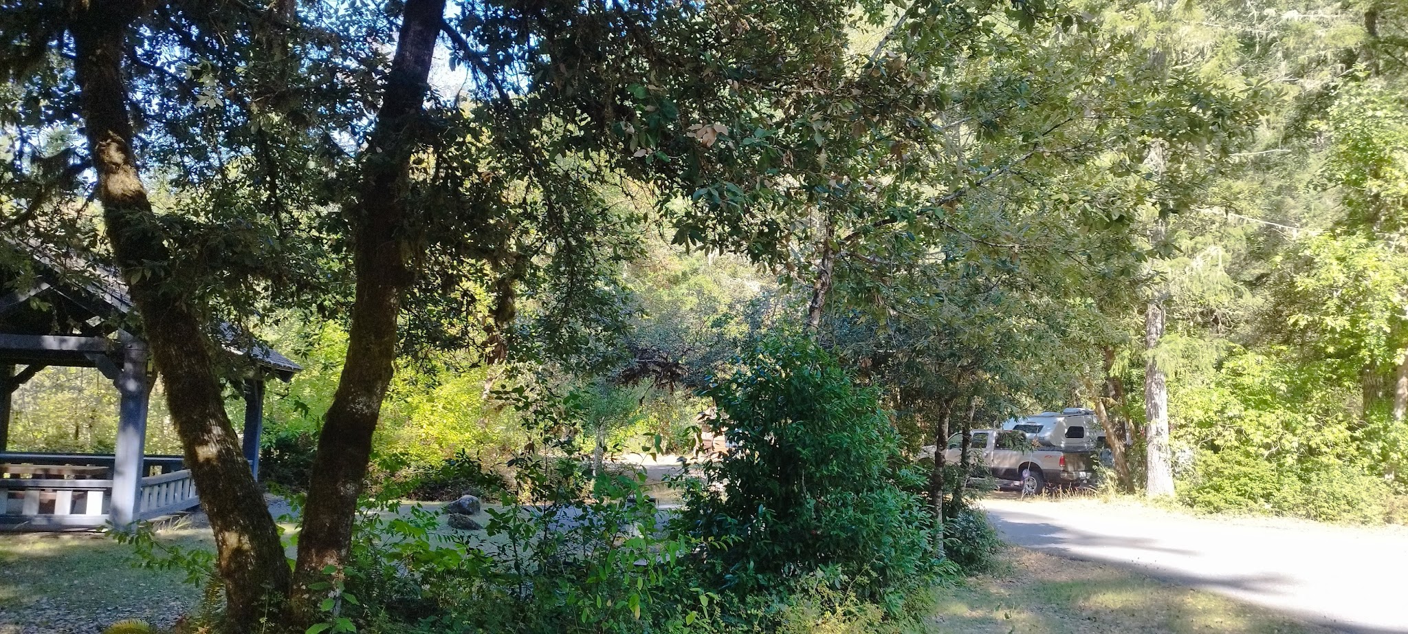 Daphne Grove Campground