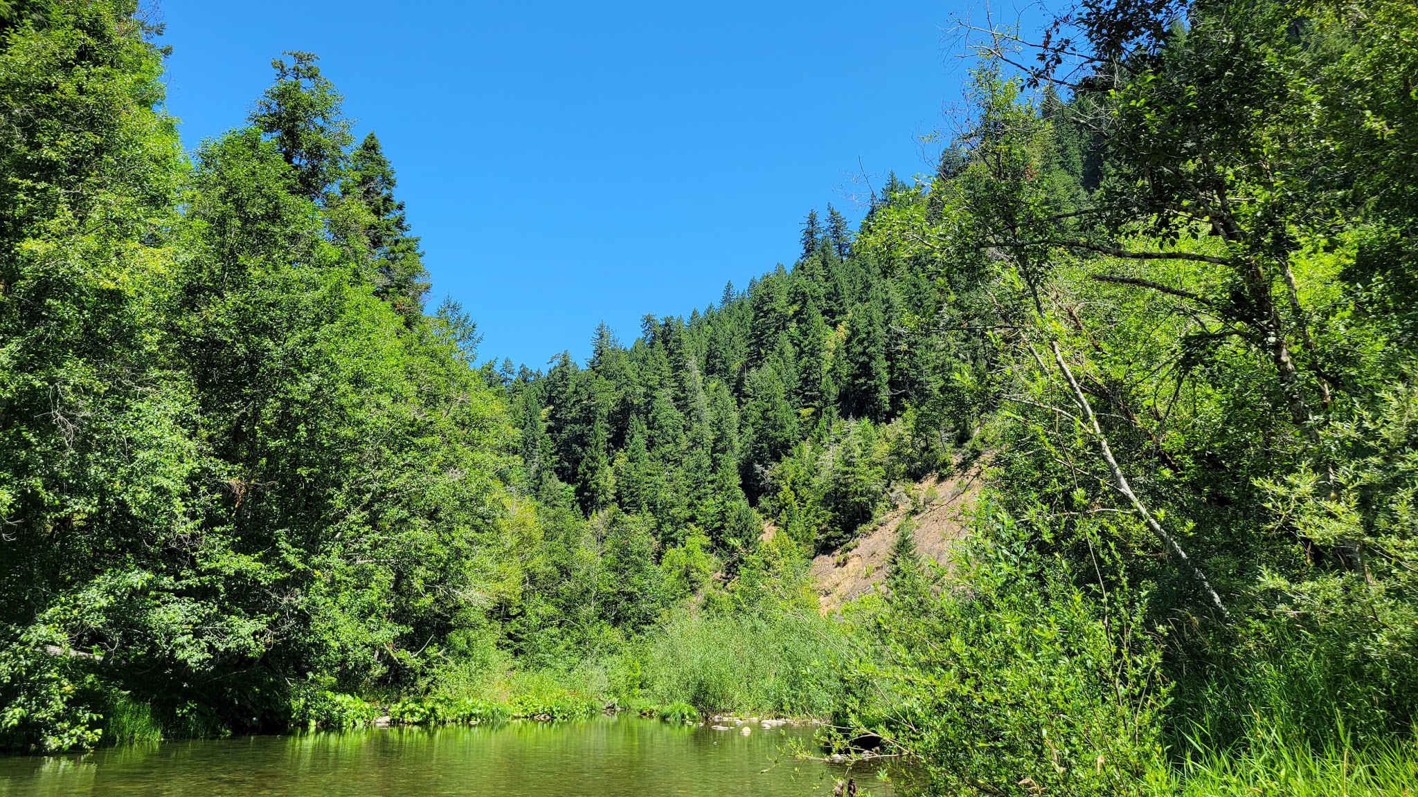 Daphne Grove Campground