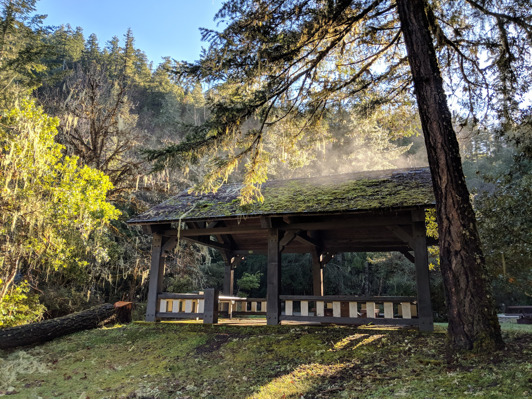 Daphne Grove Campground