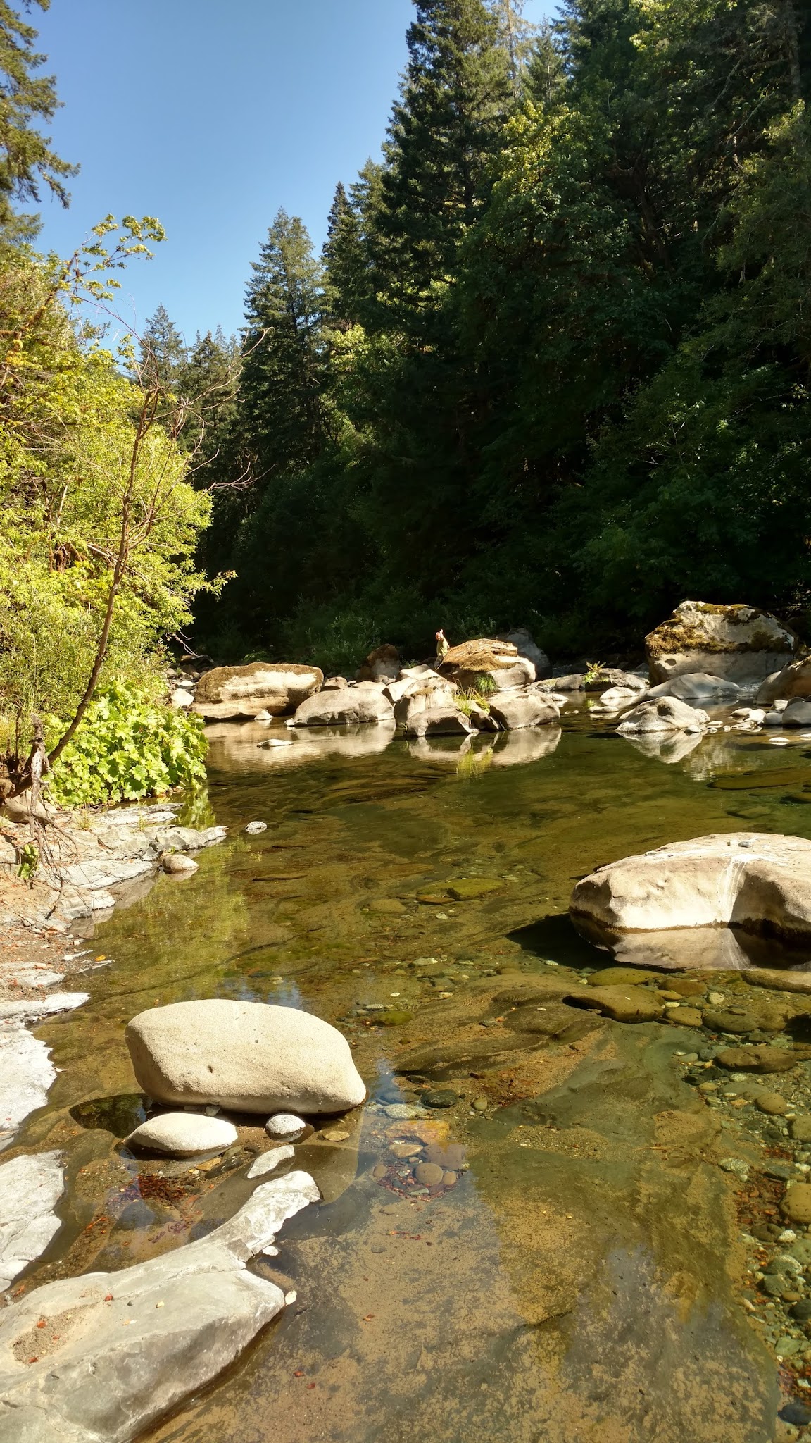 Daphne Grove Campground