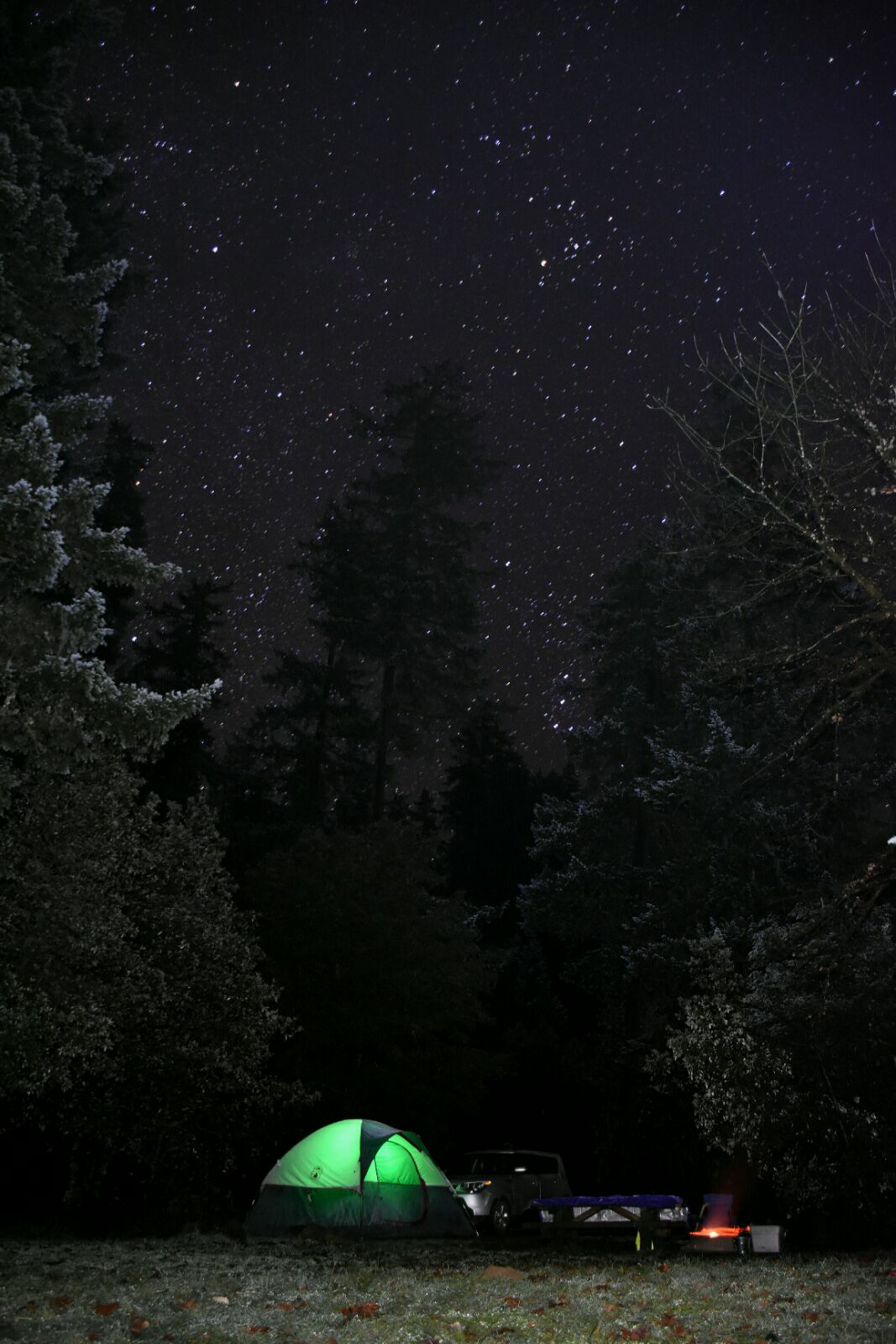 Daphne Grove Campground