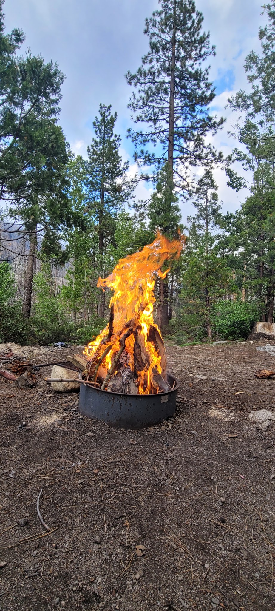 Dardanelle Campground