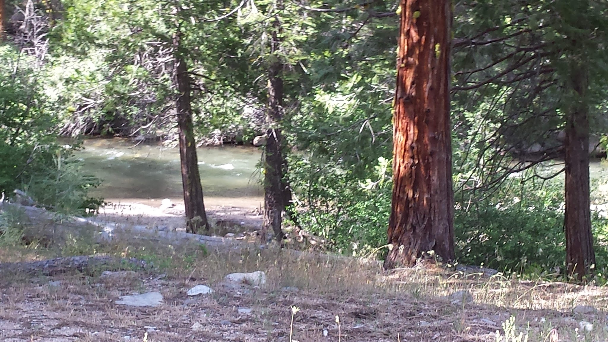 Dardanelle Campground