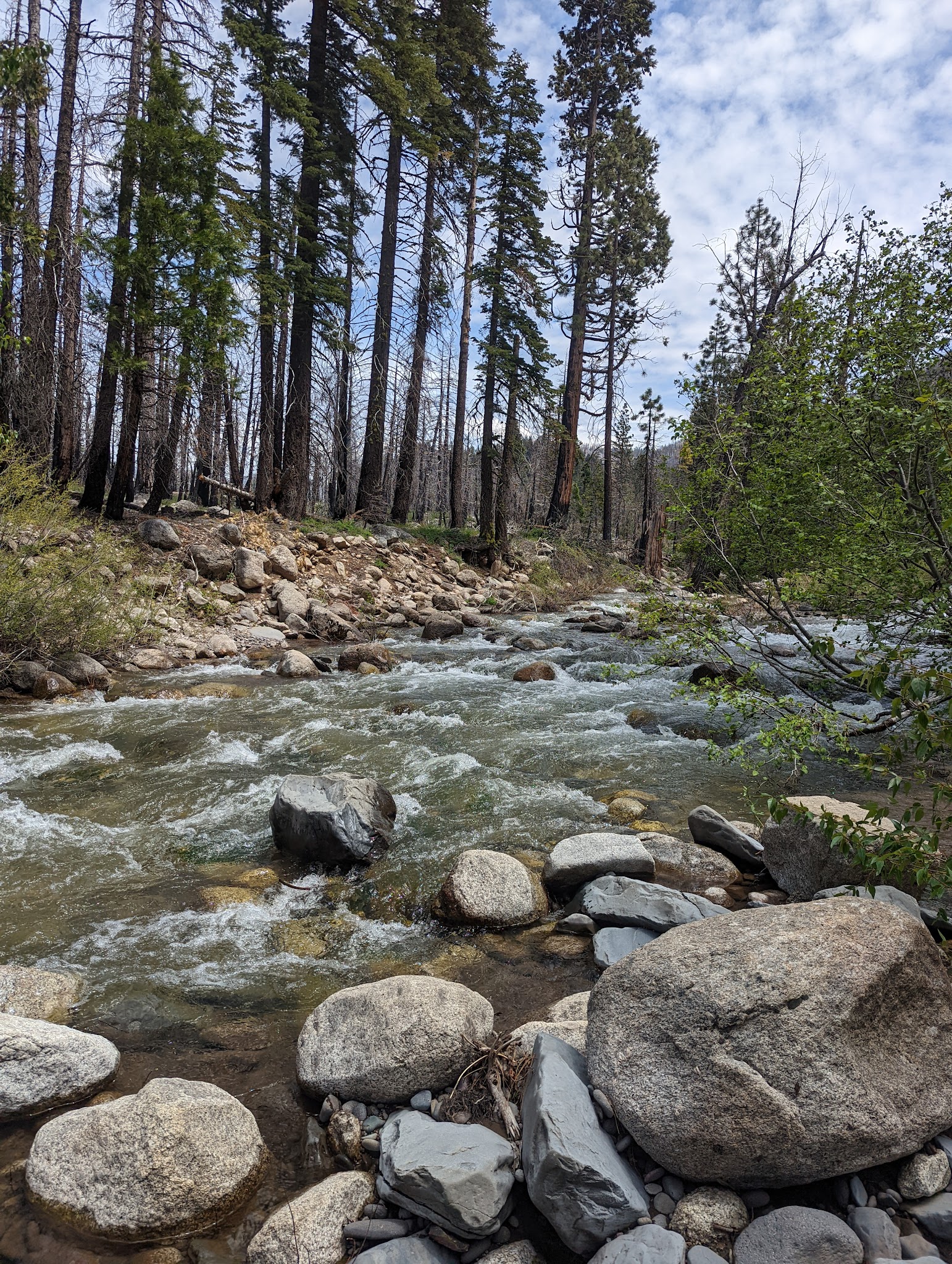 Dardanelle Campground