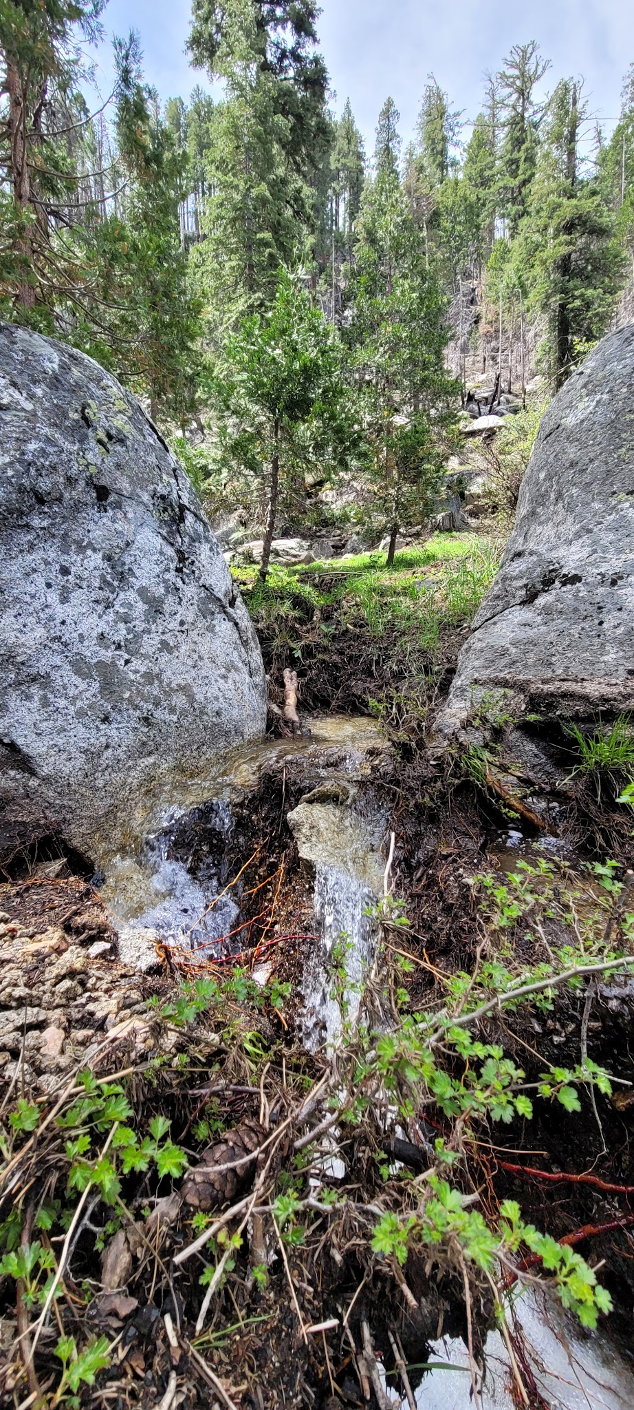 Dardanelle Campground