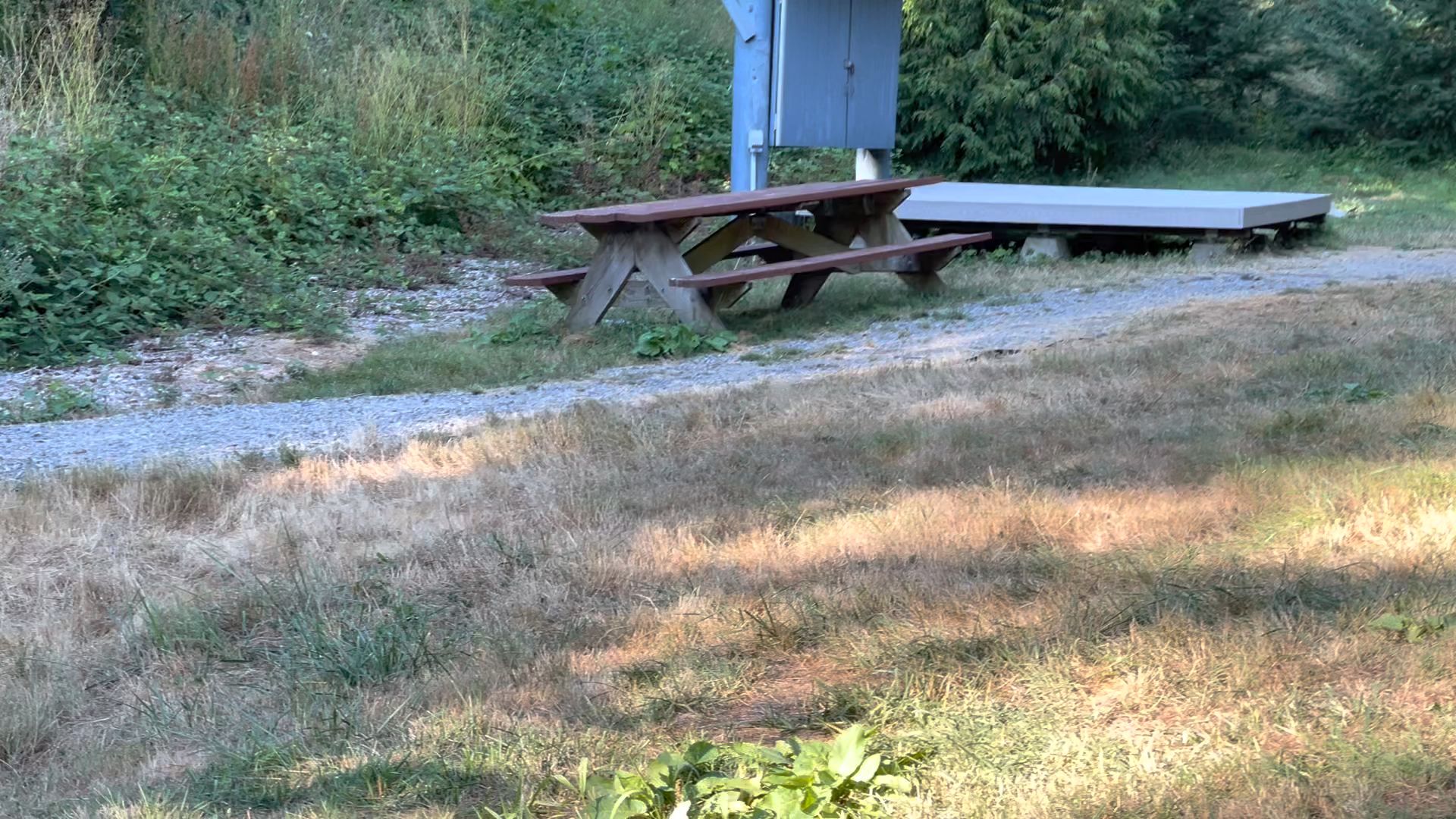 Dash Point State Park