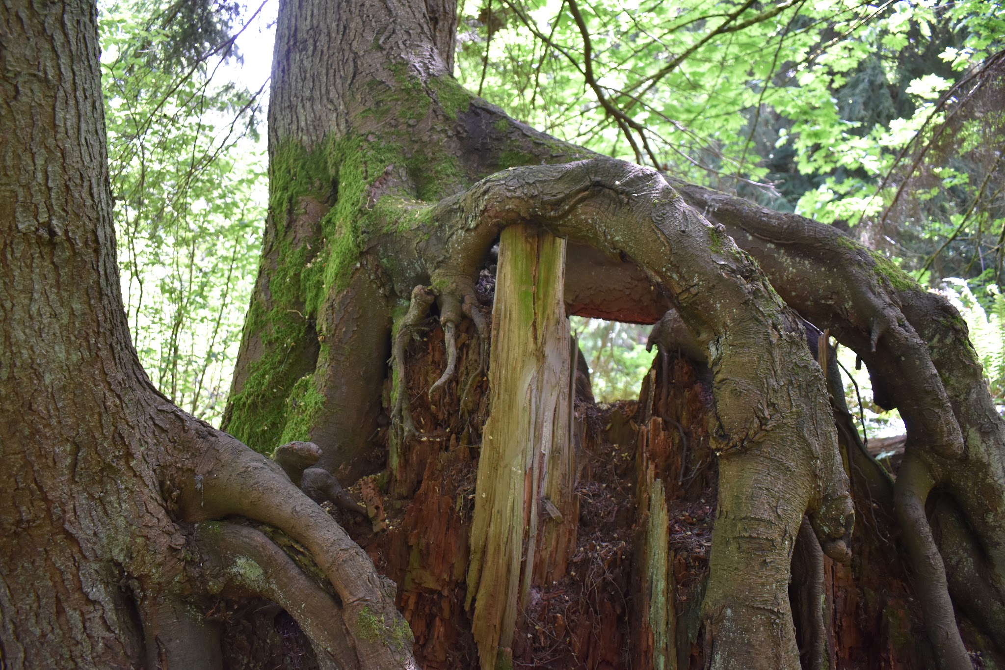 Dash Point State Park