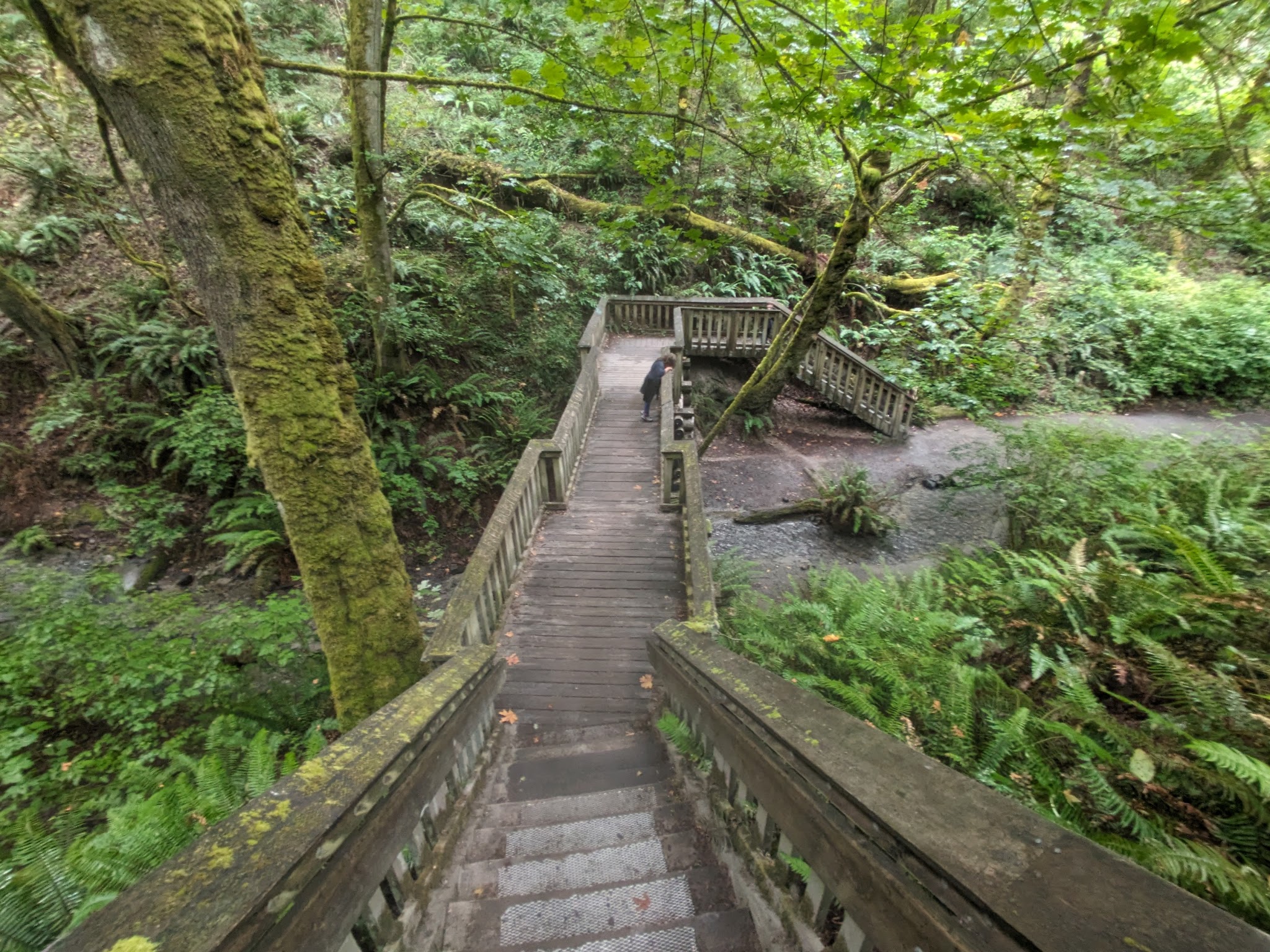 Dash Point State Park