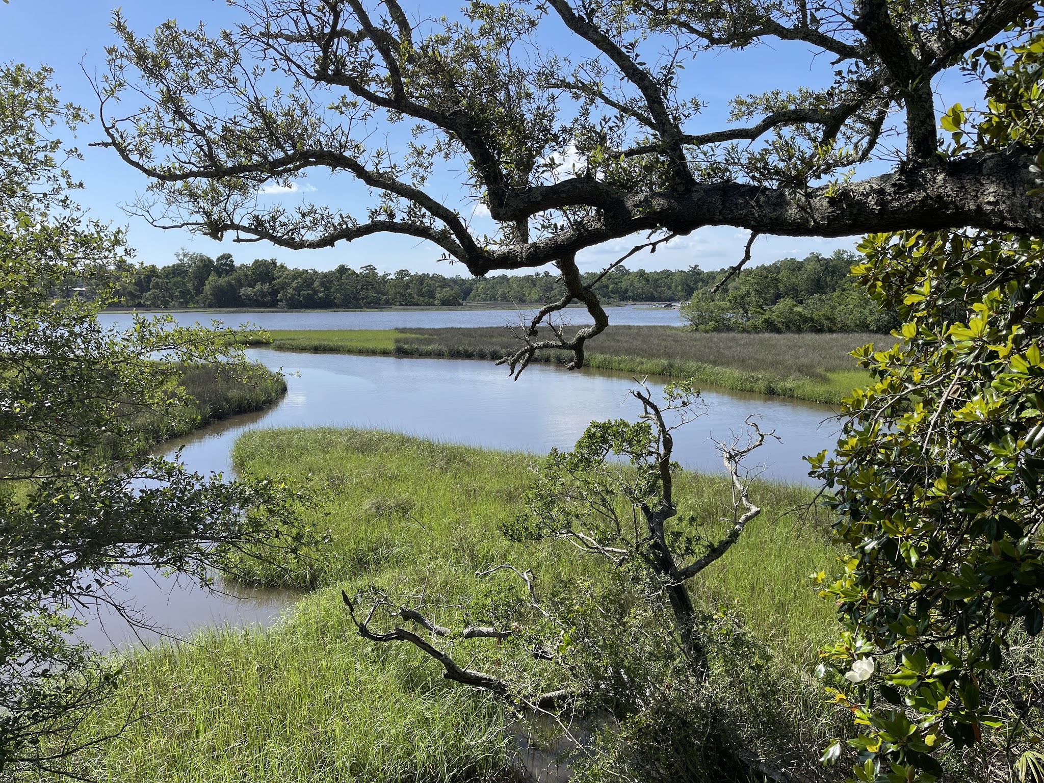 Davis Bayou Campground