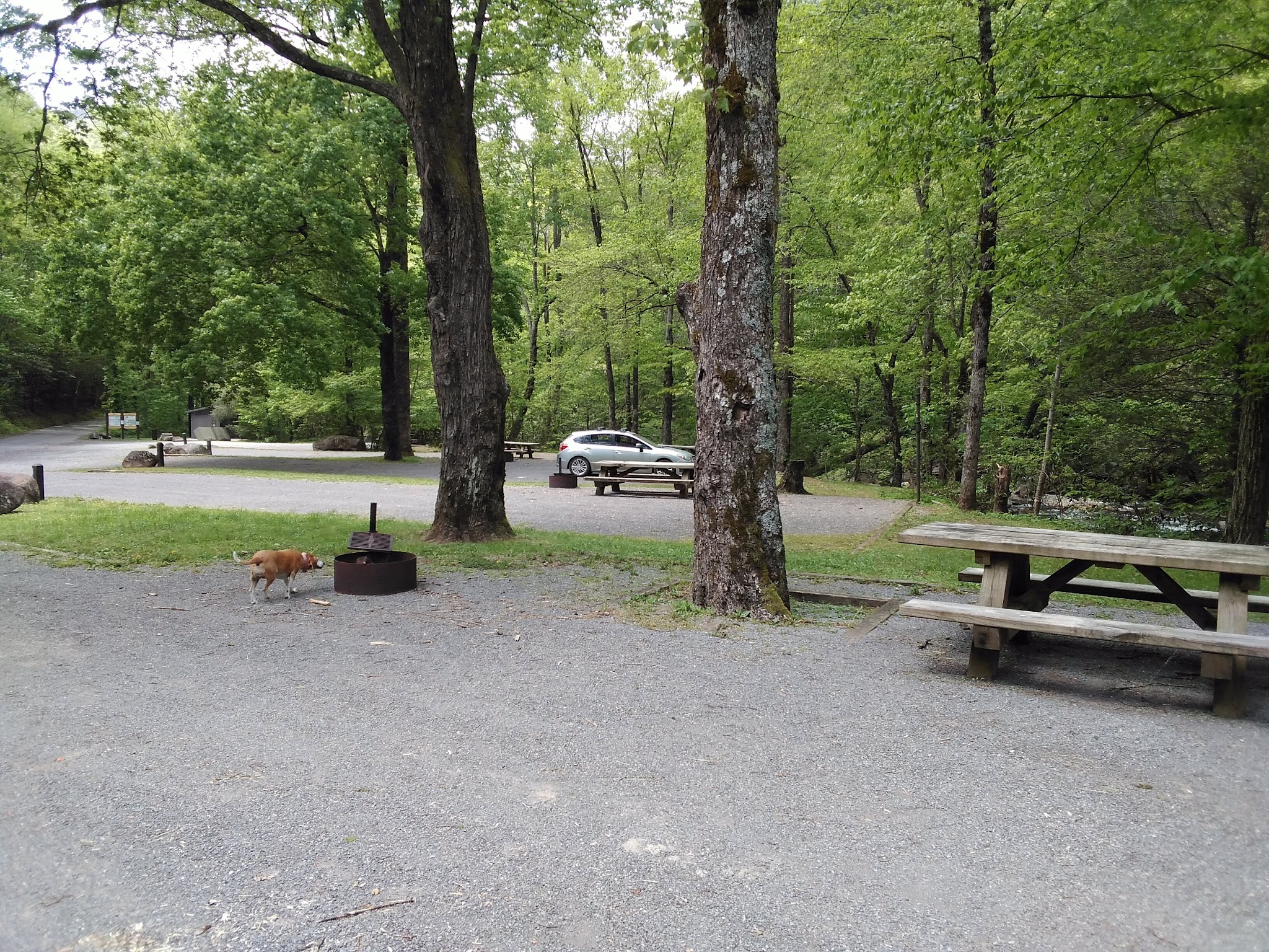 Davis Branch Campground