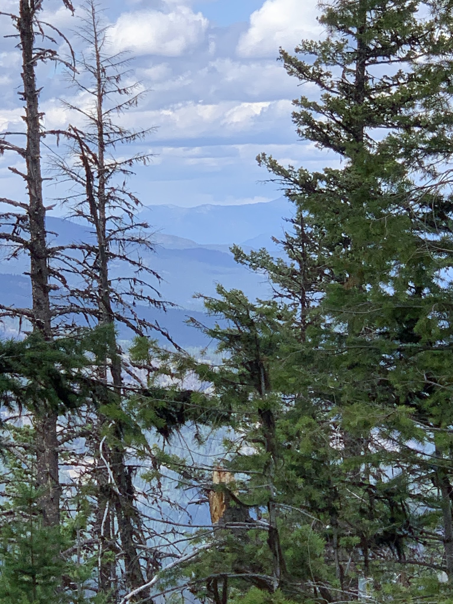 Davis Lake Campground