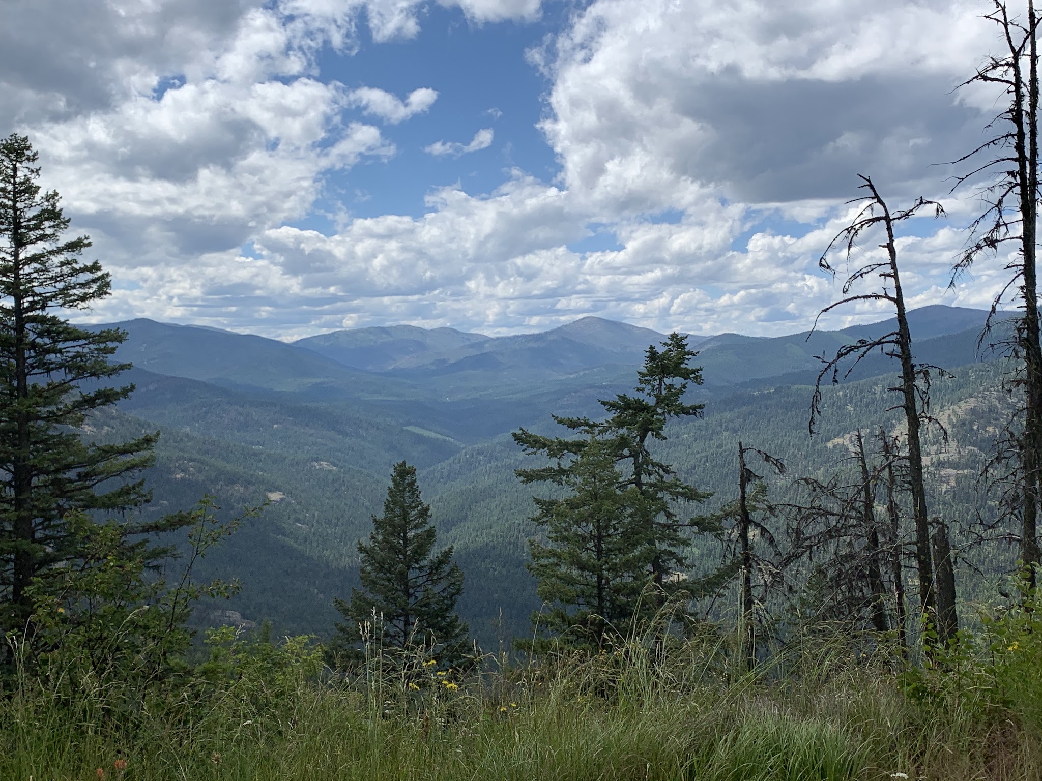 Davis Lake Campground