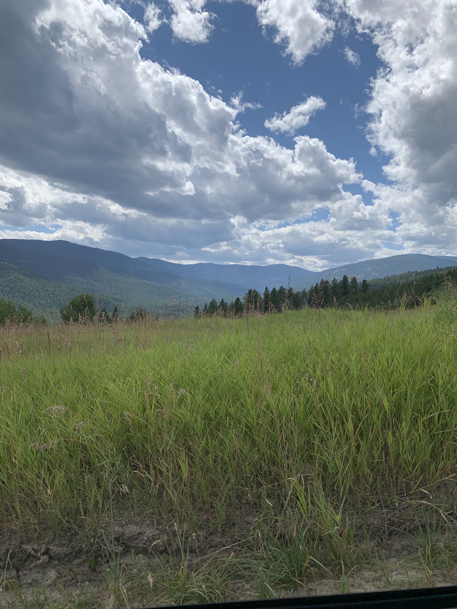 Davis Lake Campground