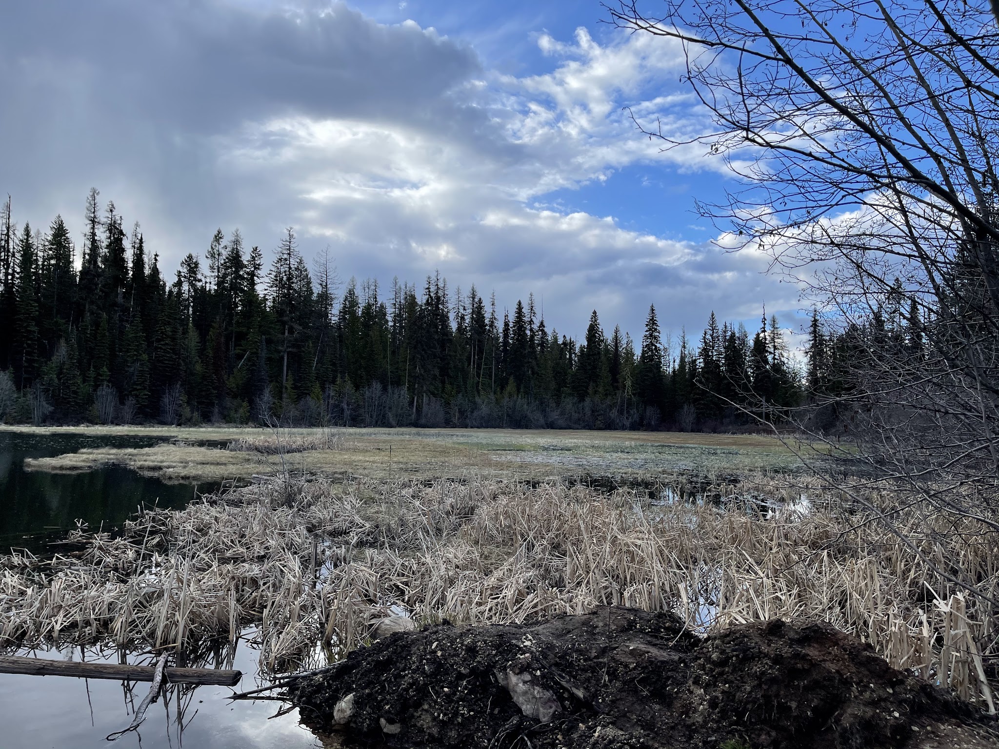 Davis Lake Campground