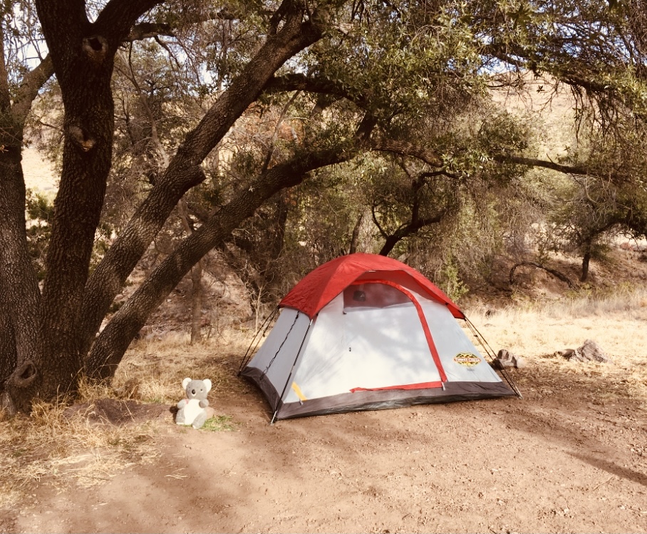 Davis Mountains State Park