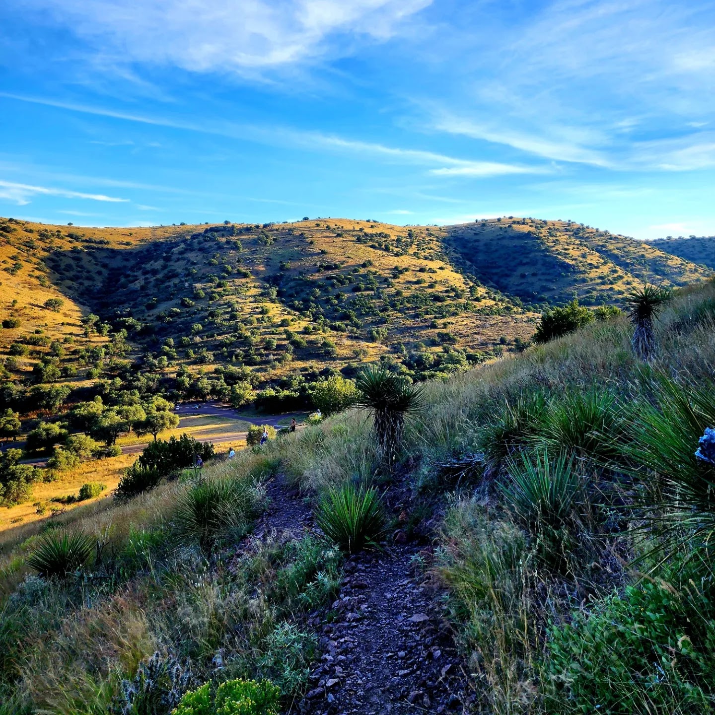 Davis Mountains State Park