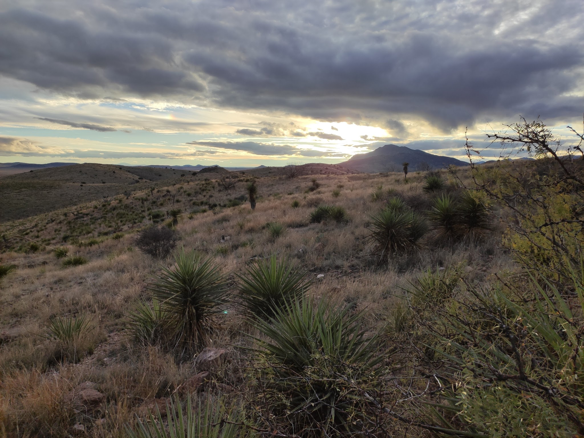 Davis Mountains State Park