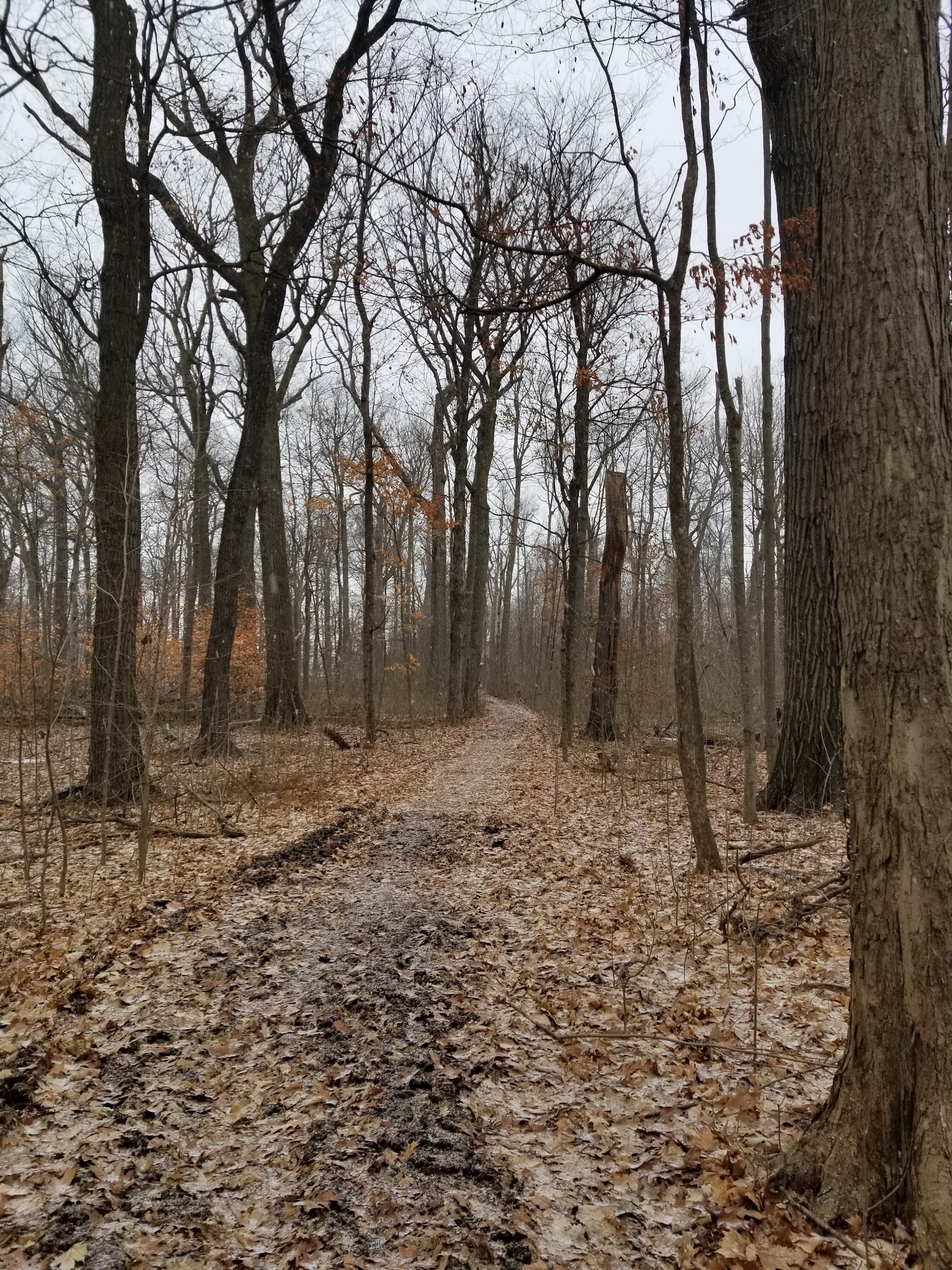 Deveaux Woods State Park