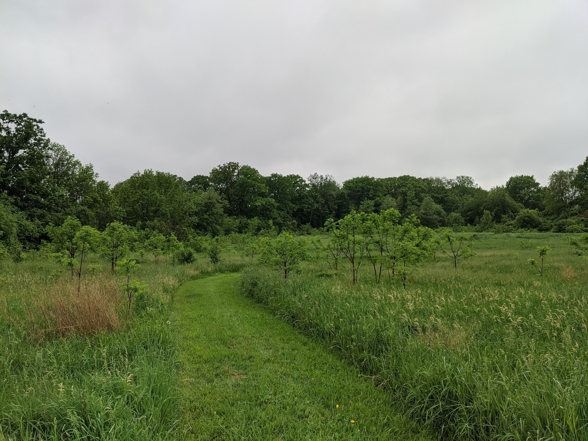 Deveaux Woods State Park