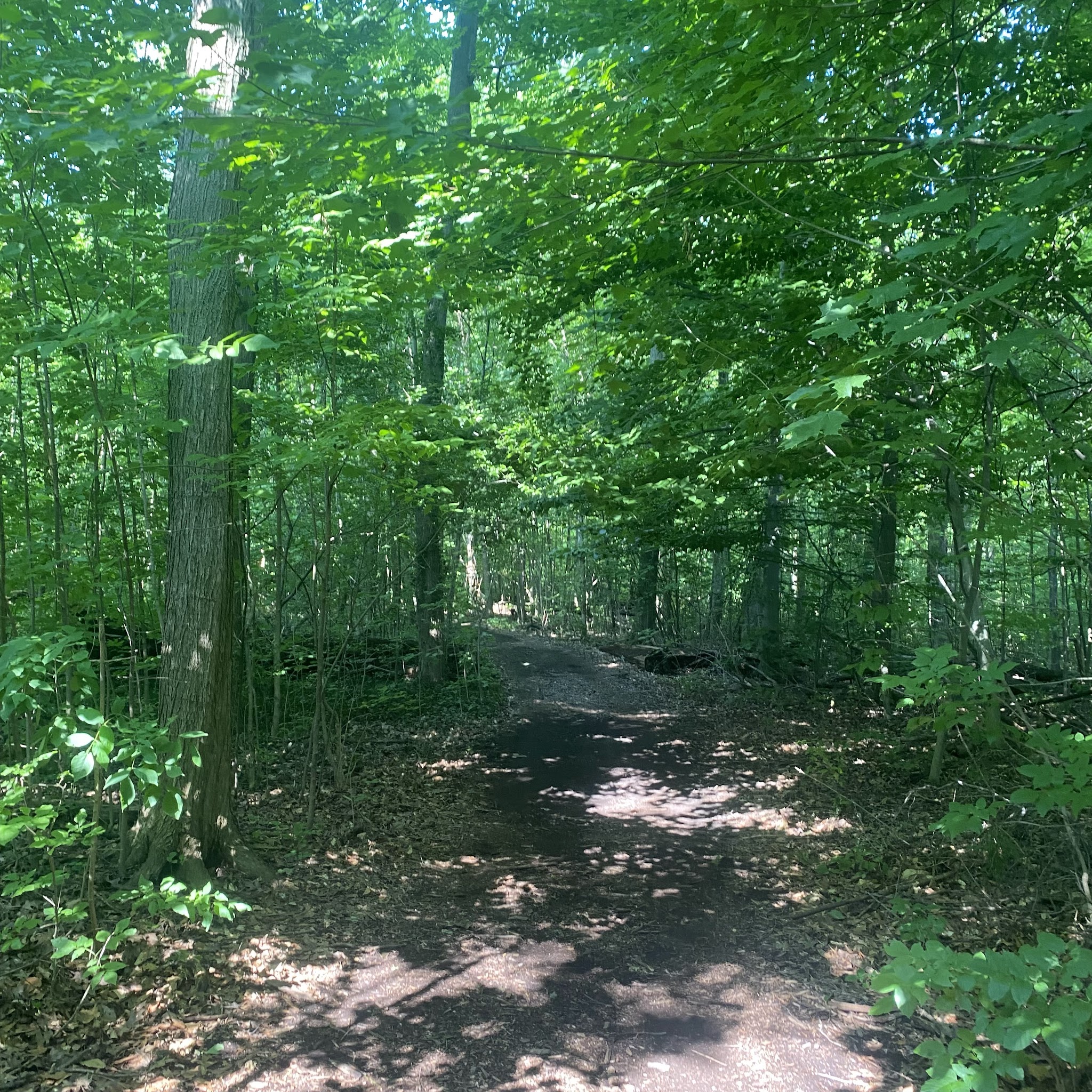 Deveaux Woods State Park