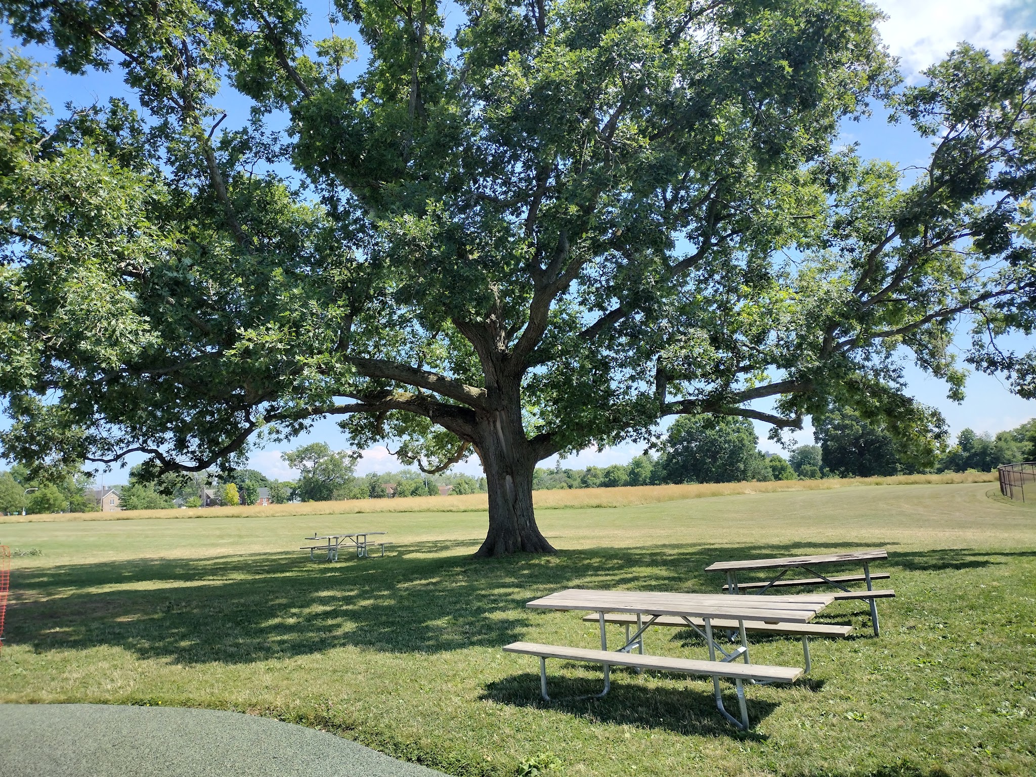Deveaux Woods State Park