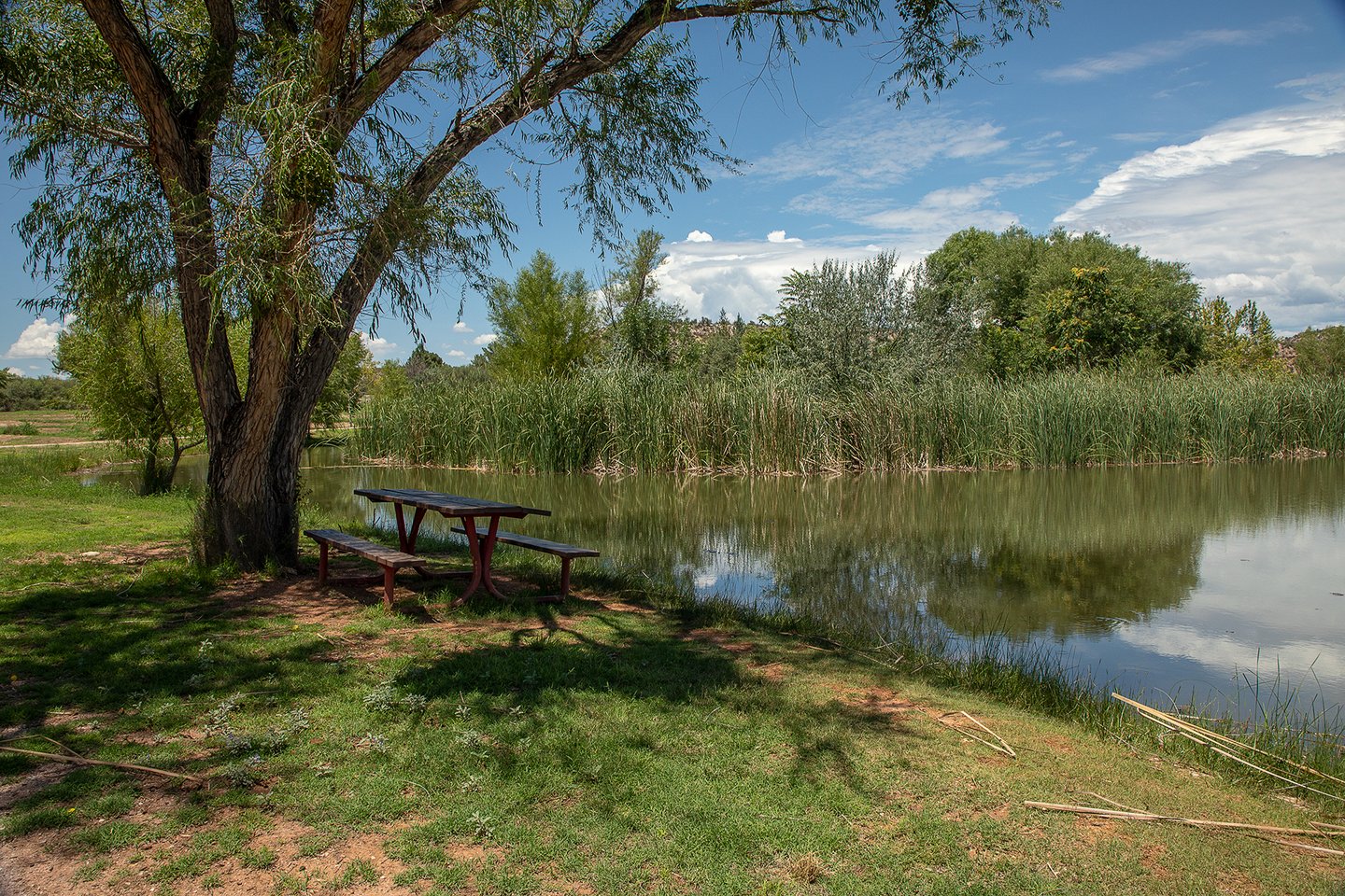 Equestrian Campground